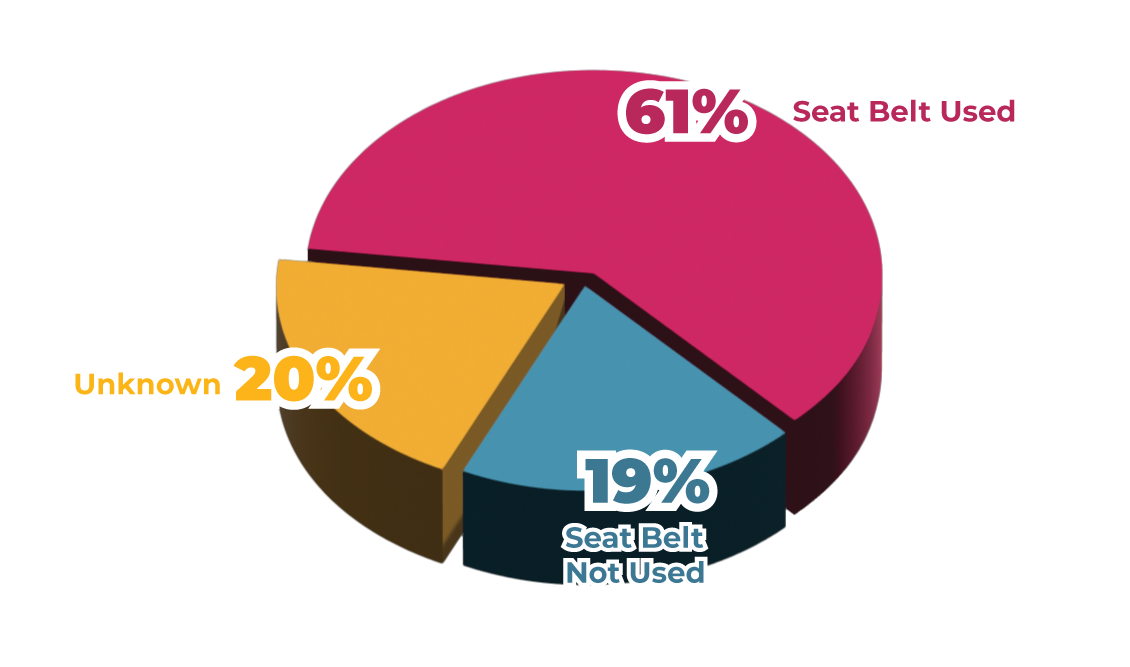 Pie chart showing percentages for seat belt usage: 61% indicating seat belt used, 20% not specified, 19% indicating seat belt not used.