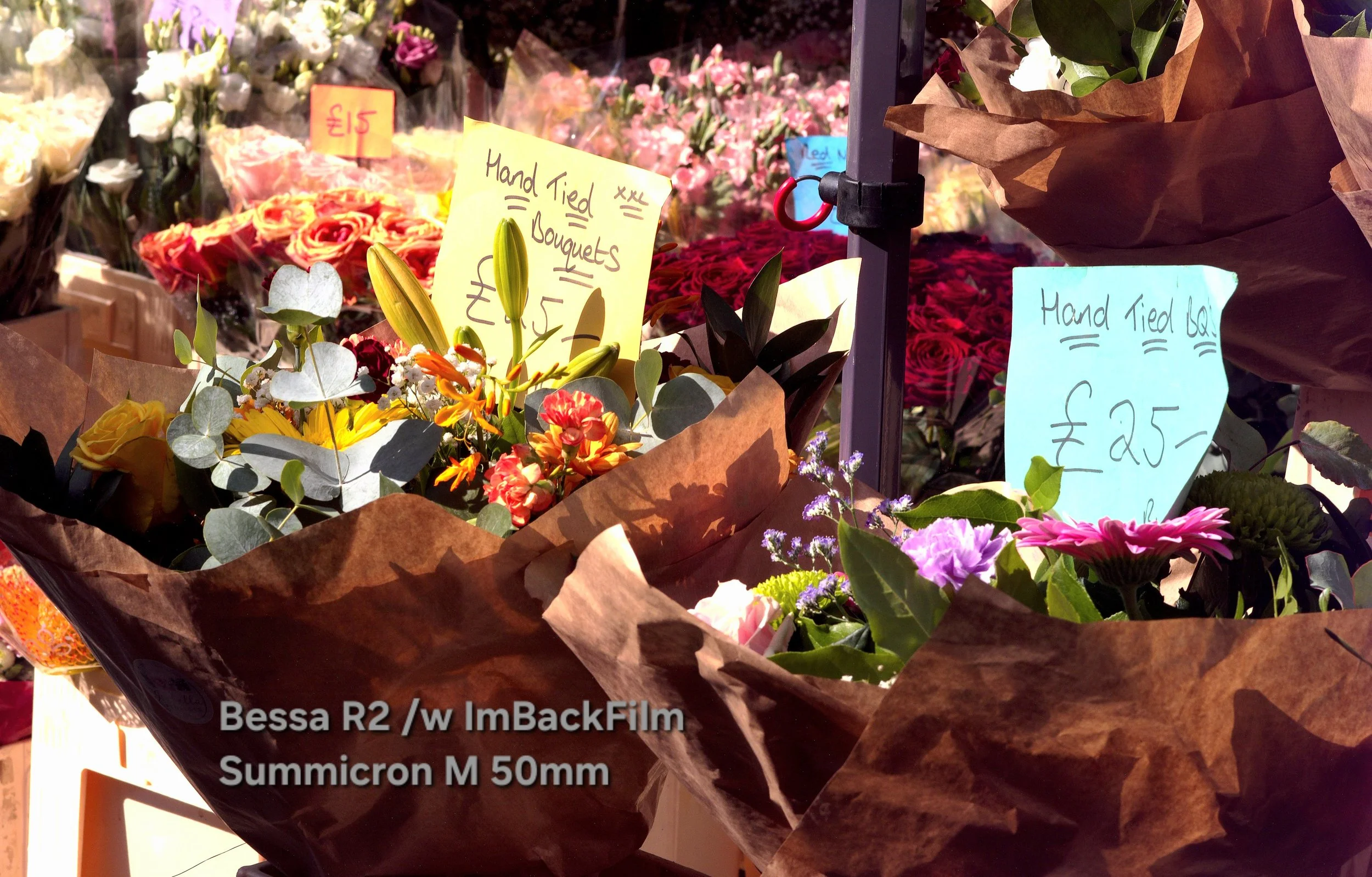 Chiswick_Flower_Market_September_08.jpg