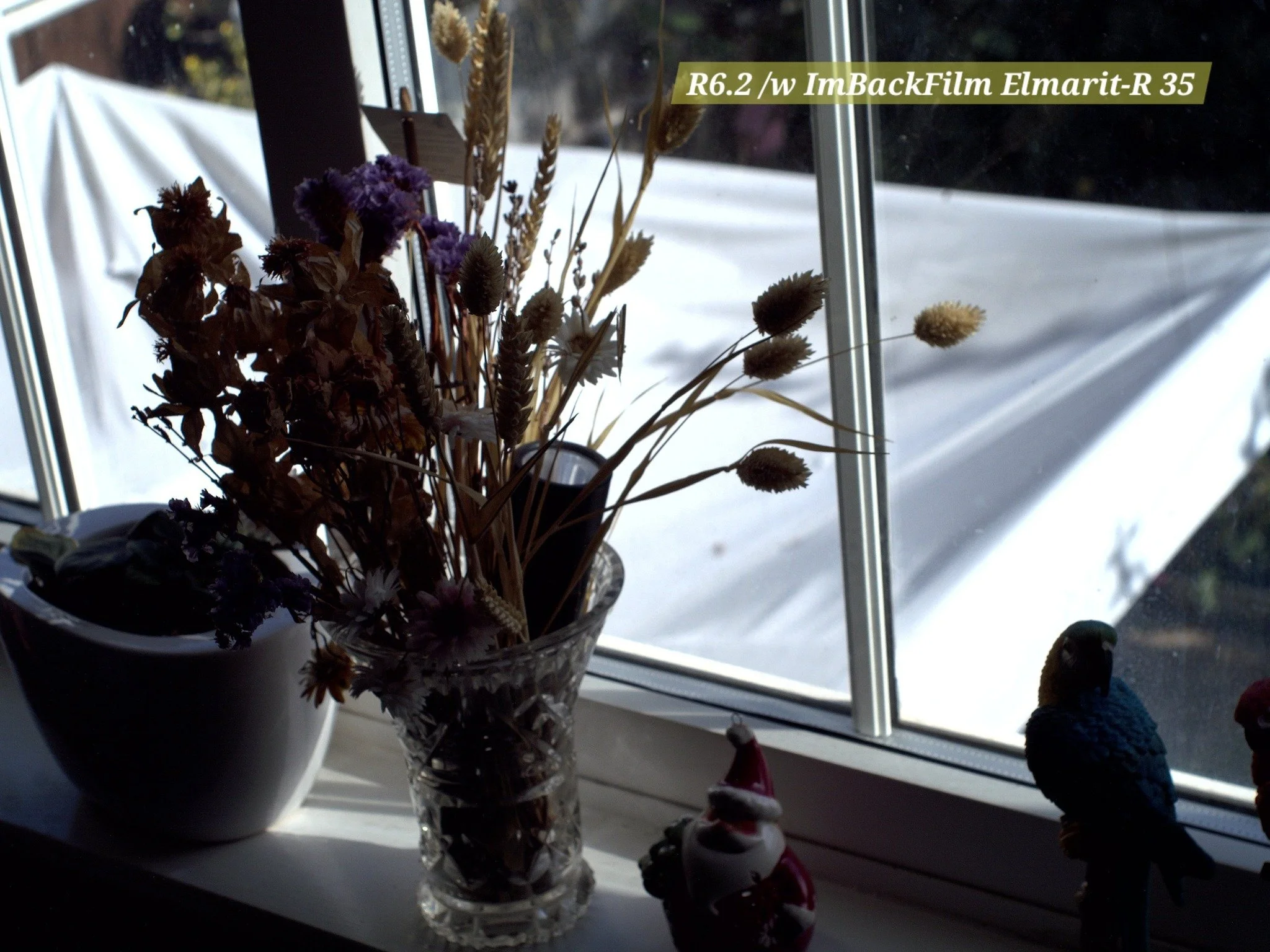 Indoor_stills_ImBackFilm_08.jpg