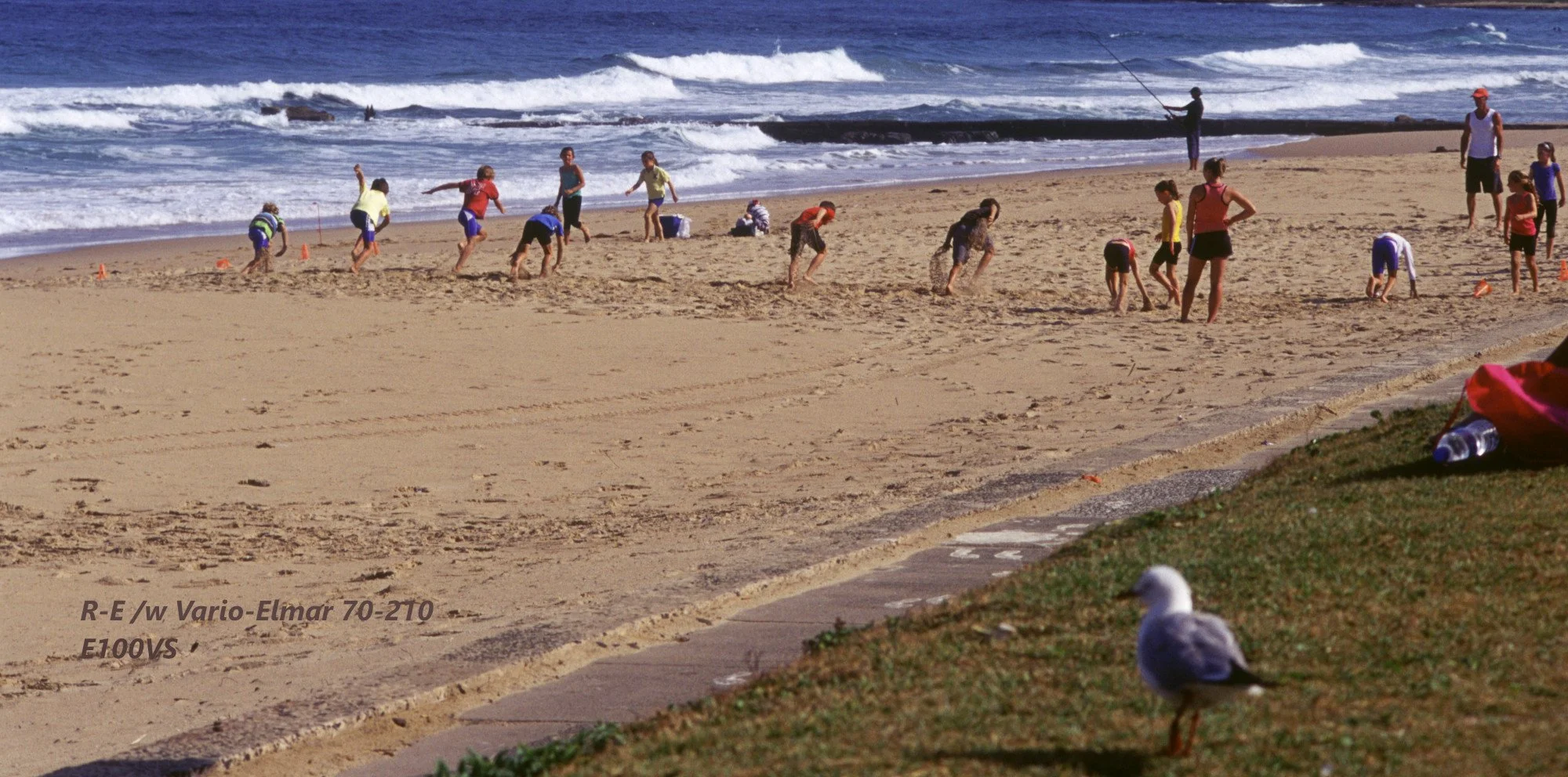 13_woolonggongbeach.jpg