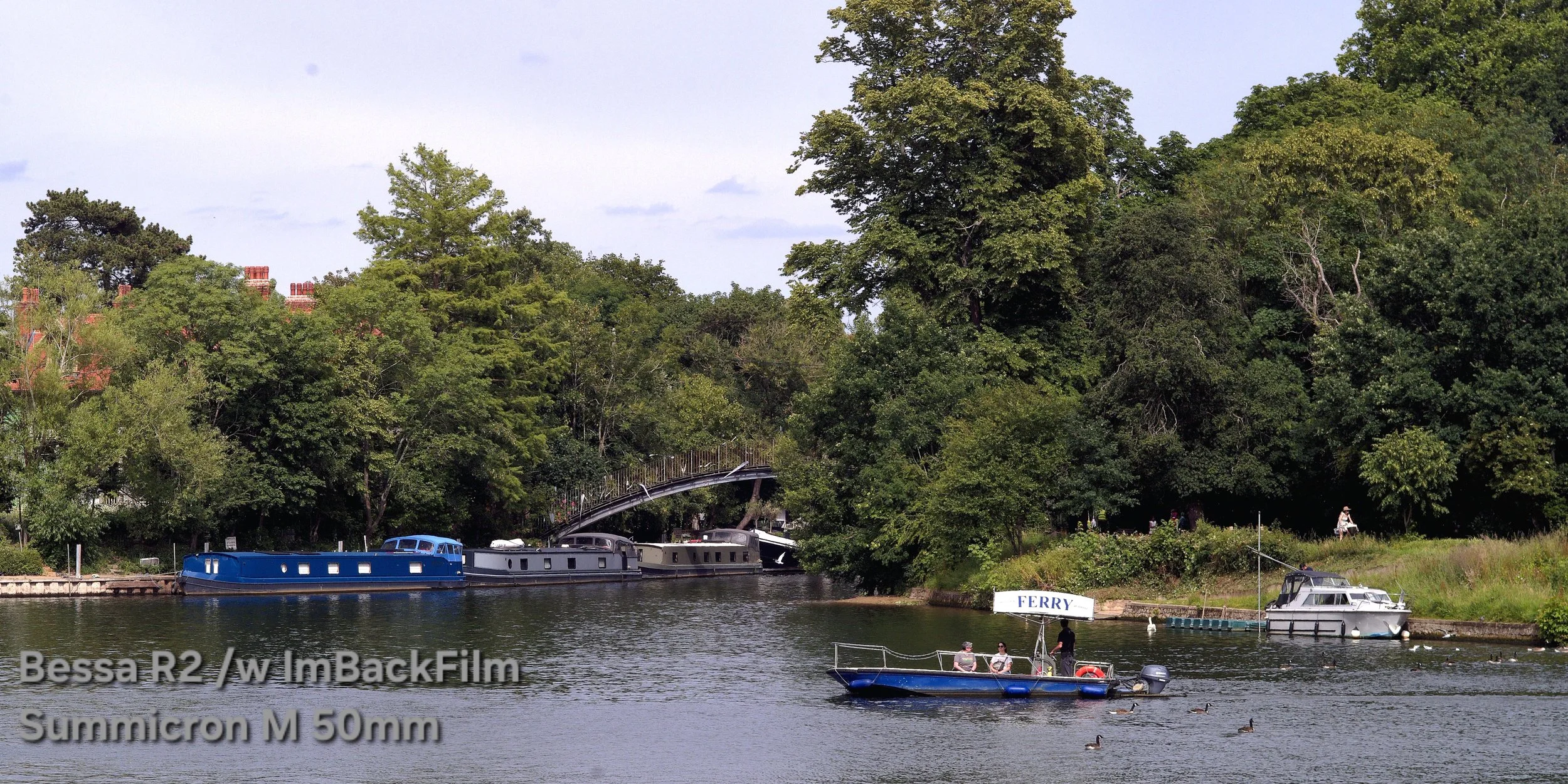 Shepperton_Lock_2026_1852.jpg