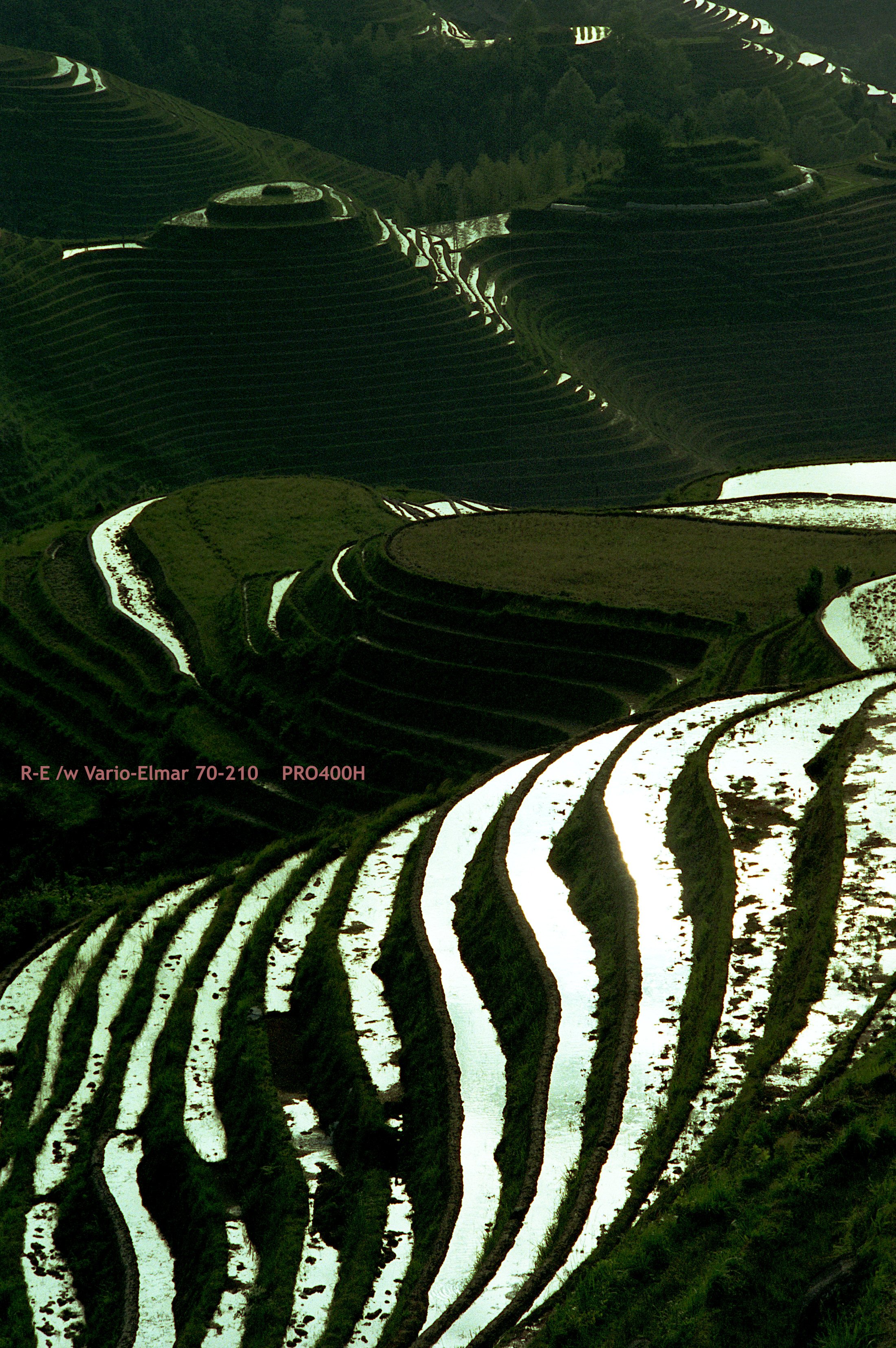 01_LongSheng Fields_morning.jpg