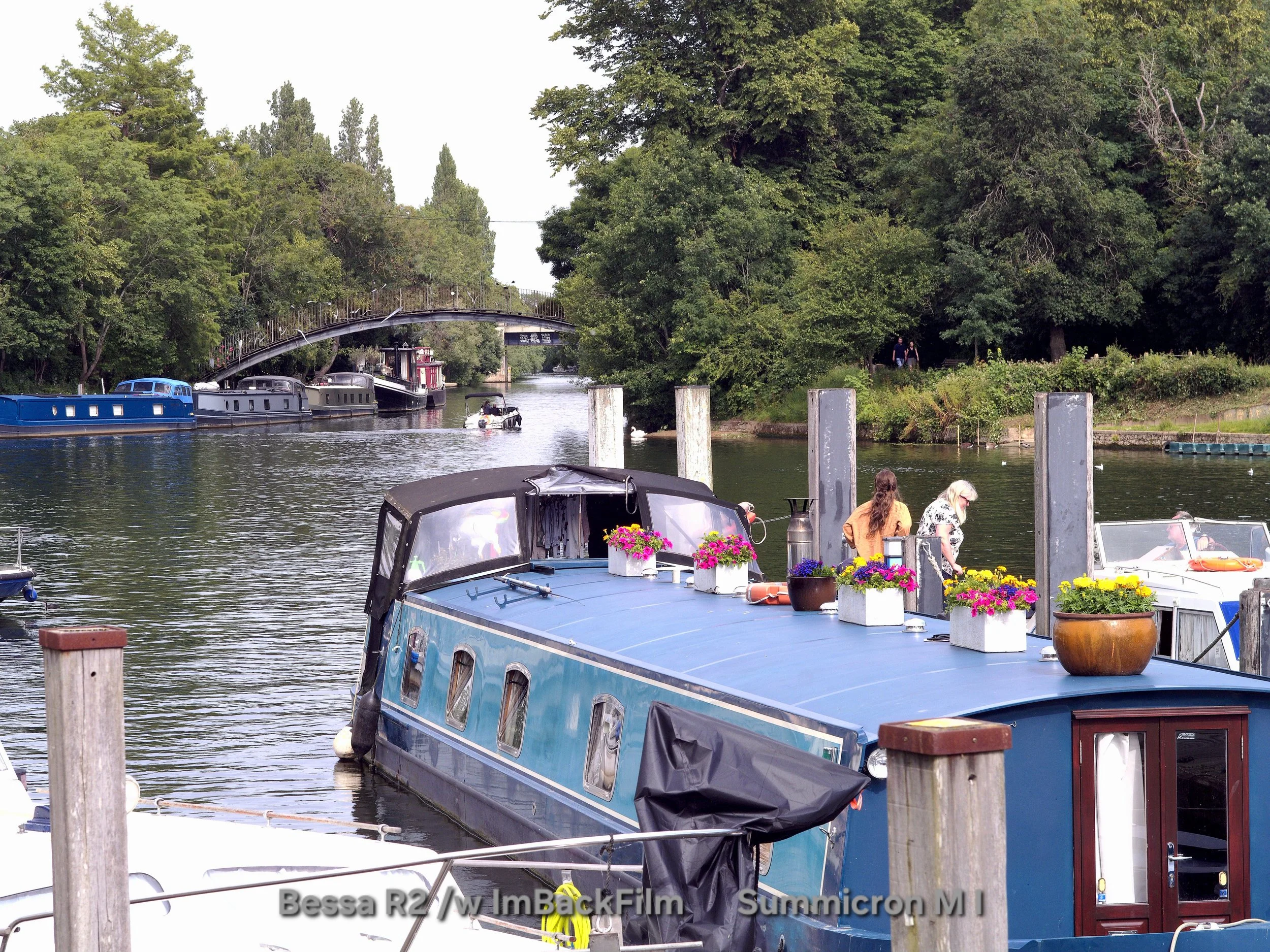 Shepperton_Lock_2026_1861.jpg