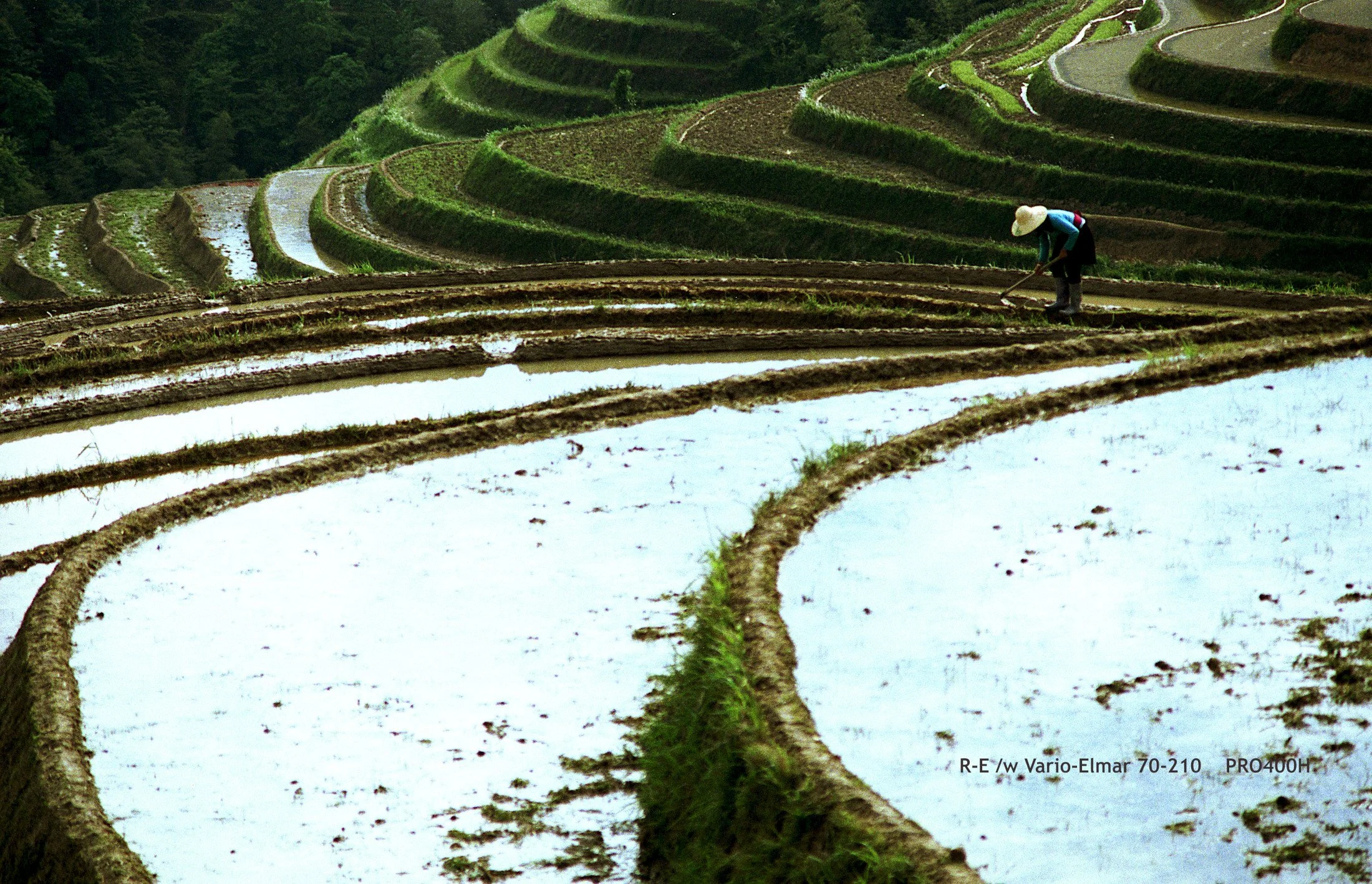31_LongSheng Fields_terrace.jpg