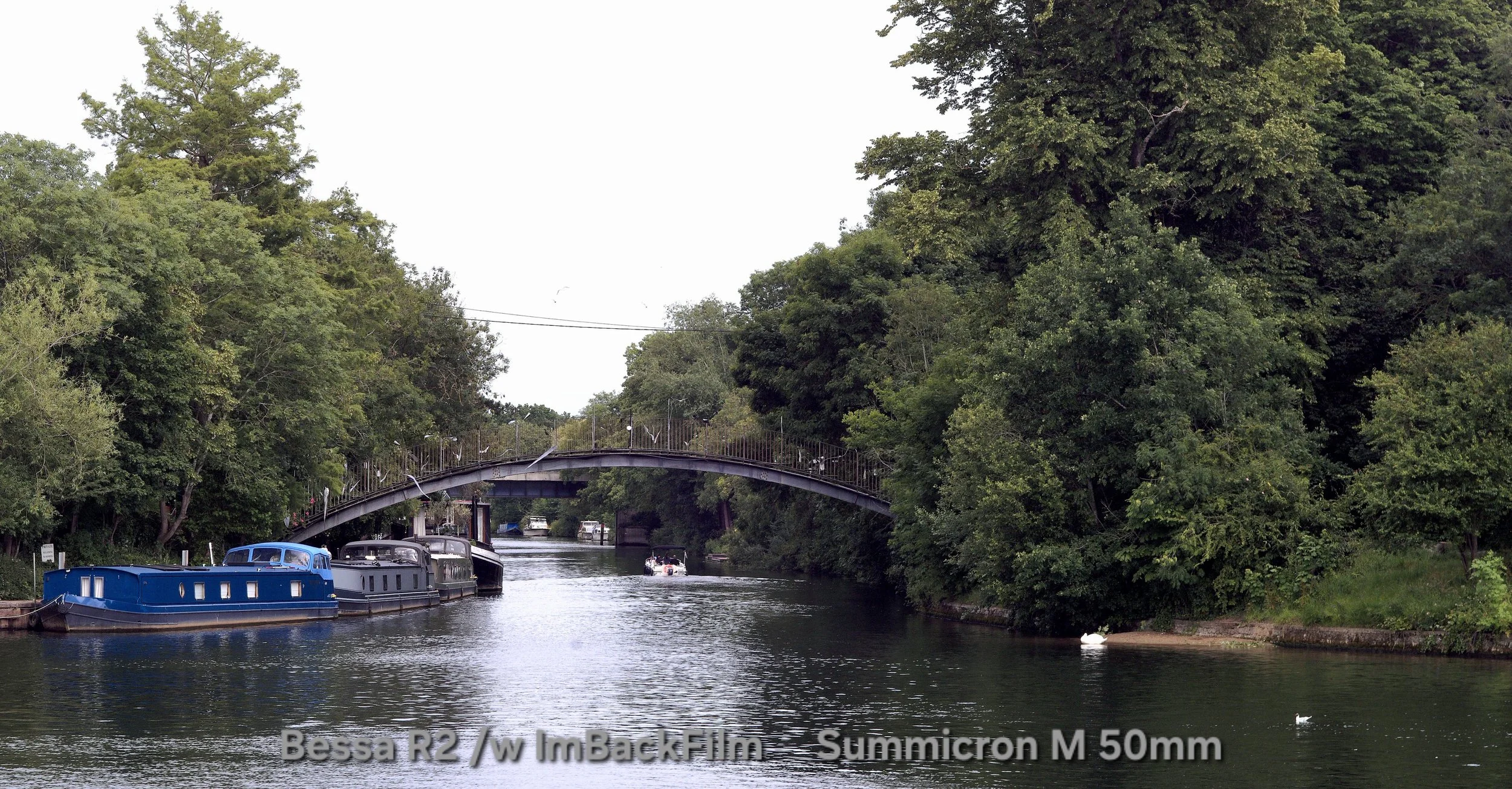 Shepperton_Lock_2026_1862.jpg