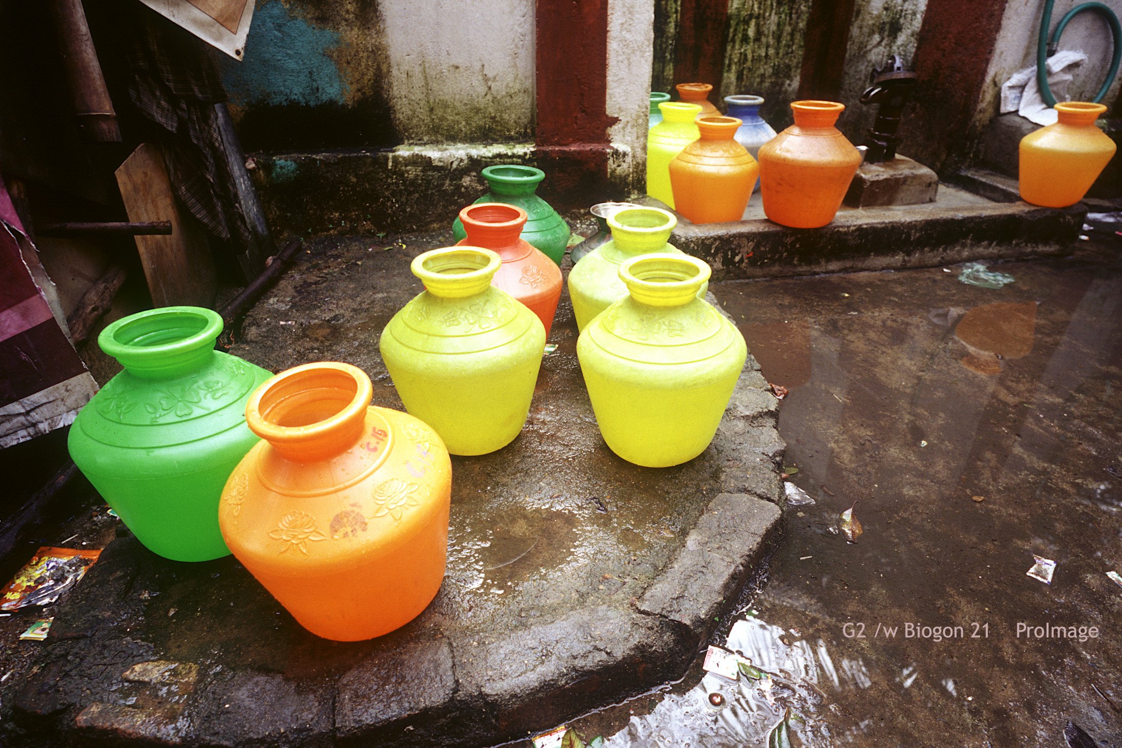 14_Chennai_pot.jpg