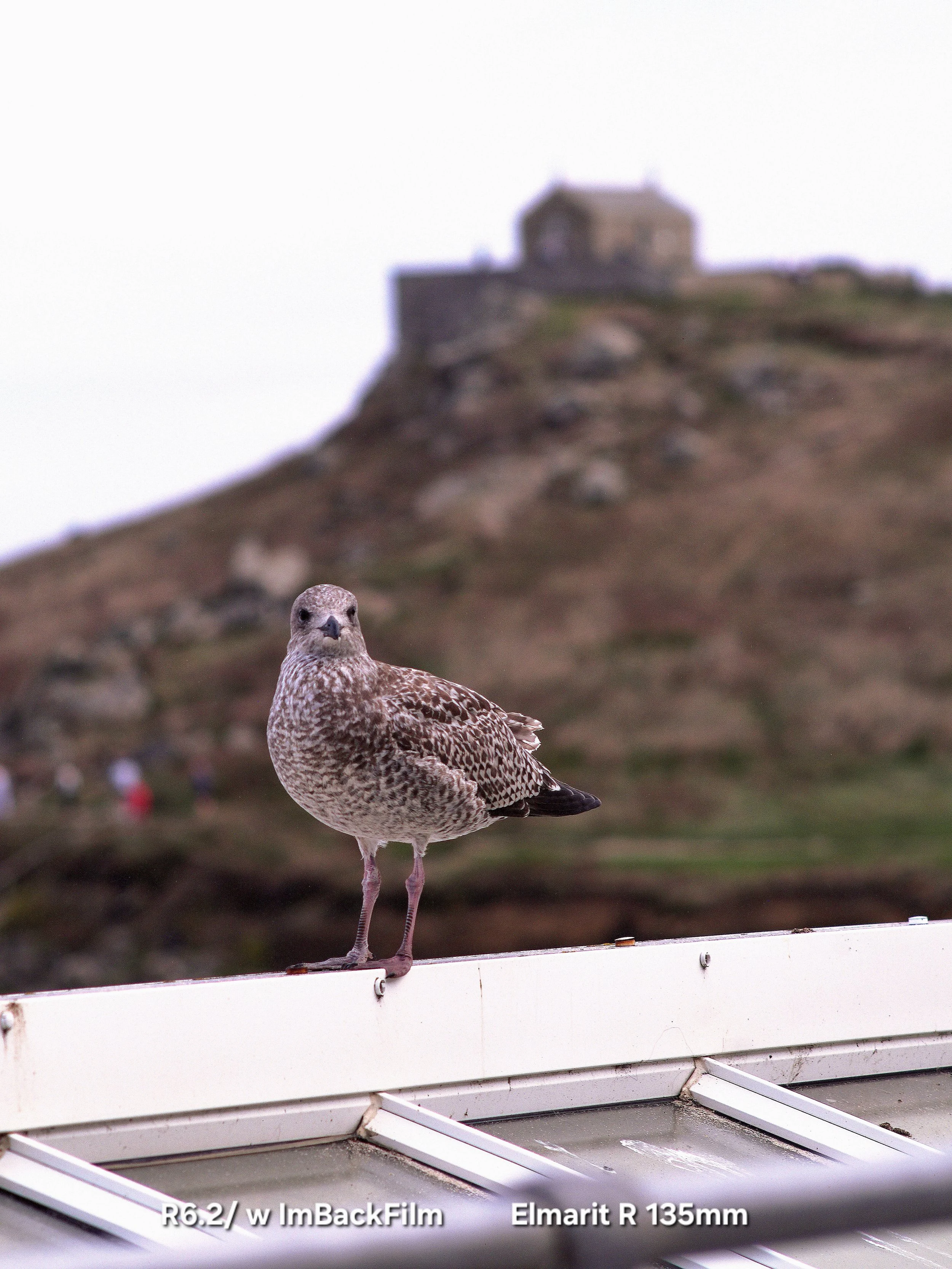 St Ives Beach 09.jpg