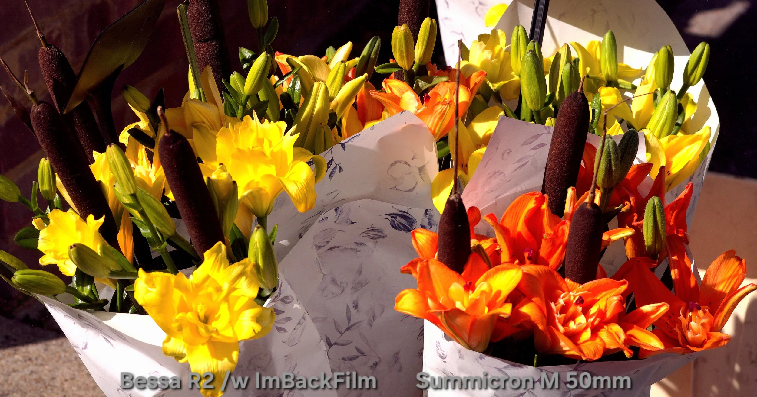 Chiswick_Flower_Market_September_04.jpg
