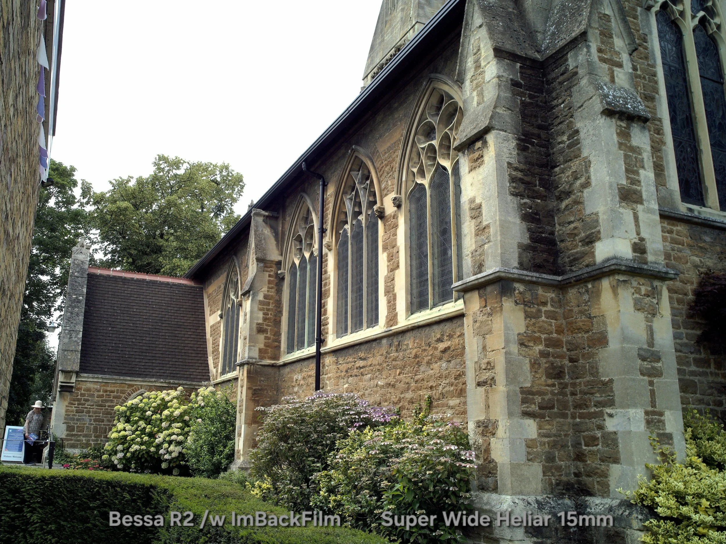 Weybridge_2026_1812.jpg