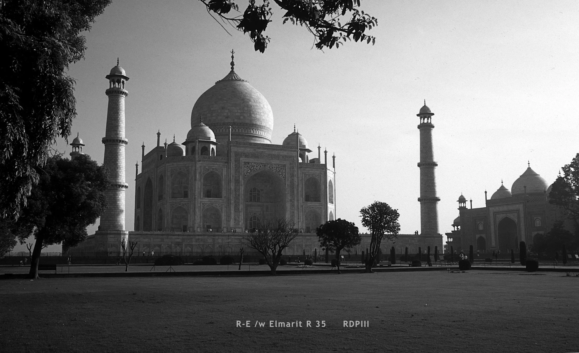 Agra_Taj Mahal_12_TajMahalMorning.jpg