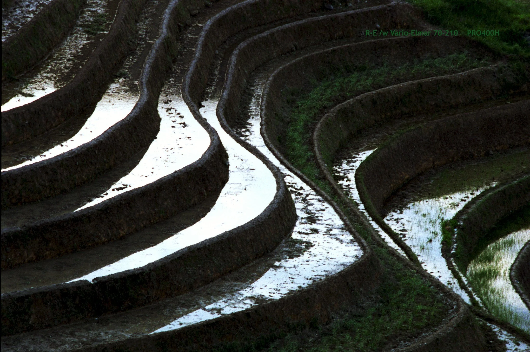 22_LongSheng Fields_terrace.jpg