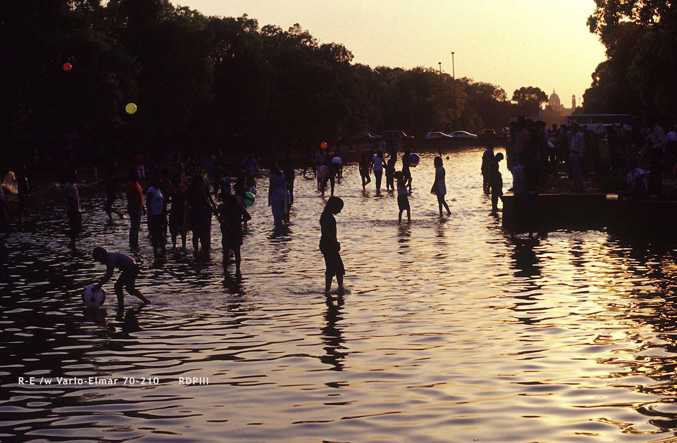 New Delhi_32_pool.jpg
