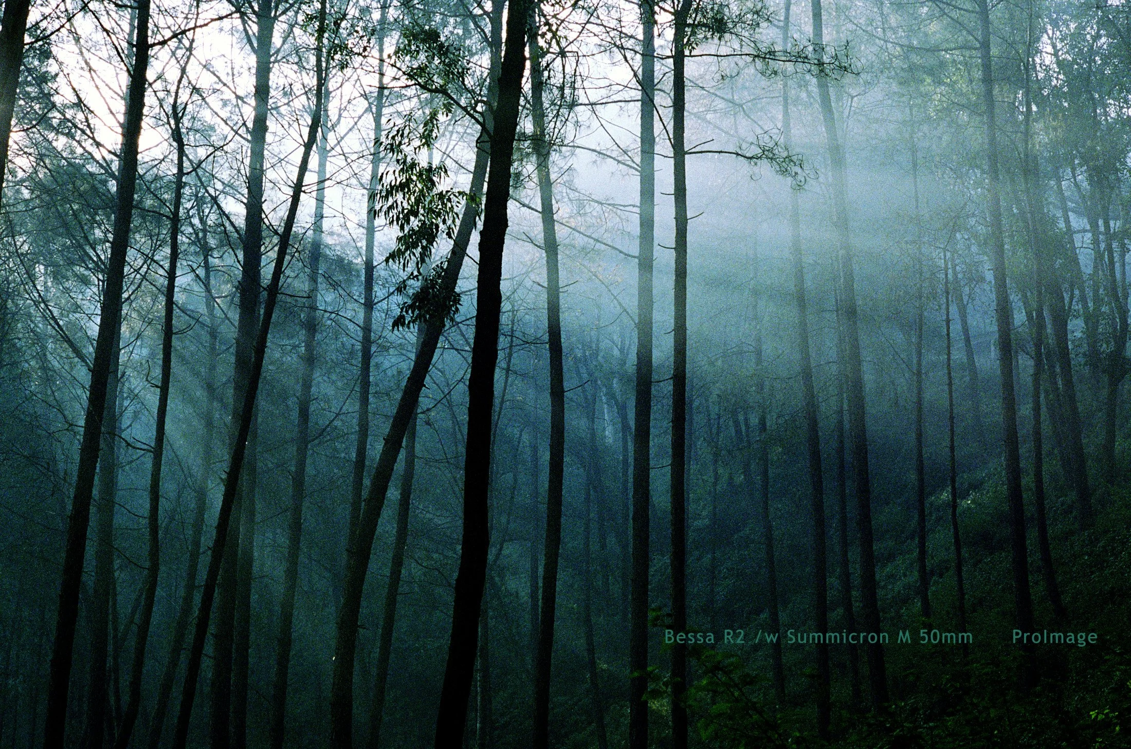 Kathmandu_twilight01(24bit cleandust).jpg