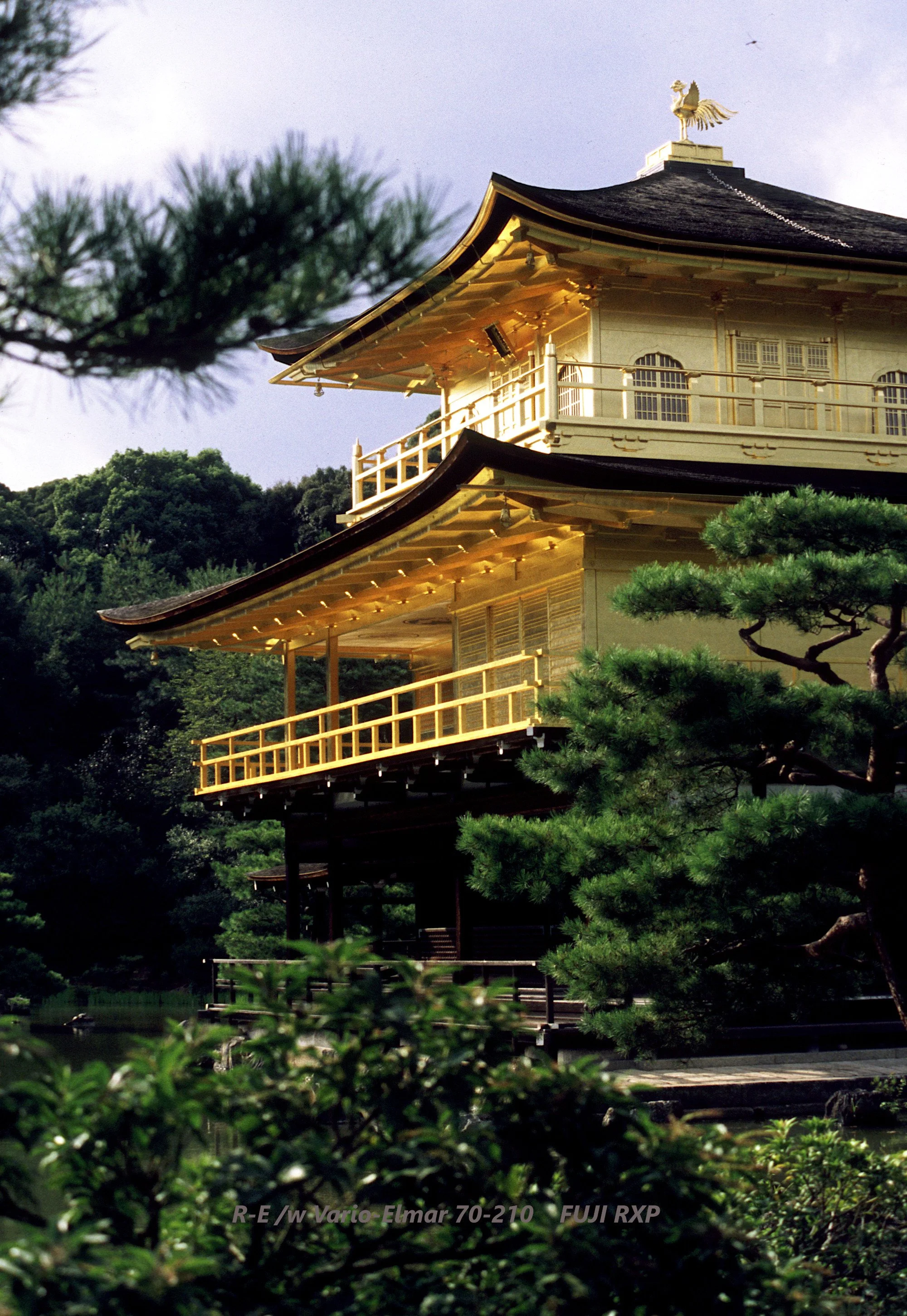 25_Kinkaku-ji_golden.jpg