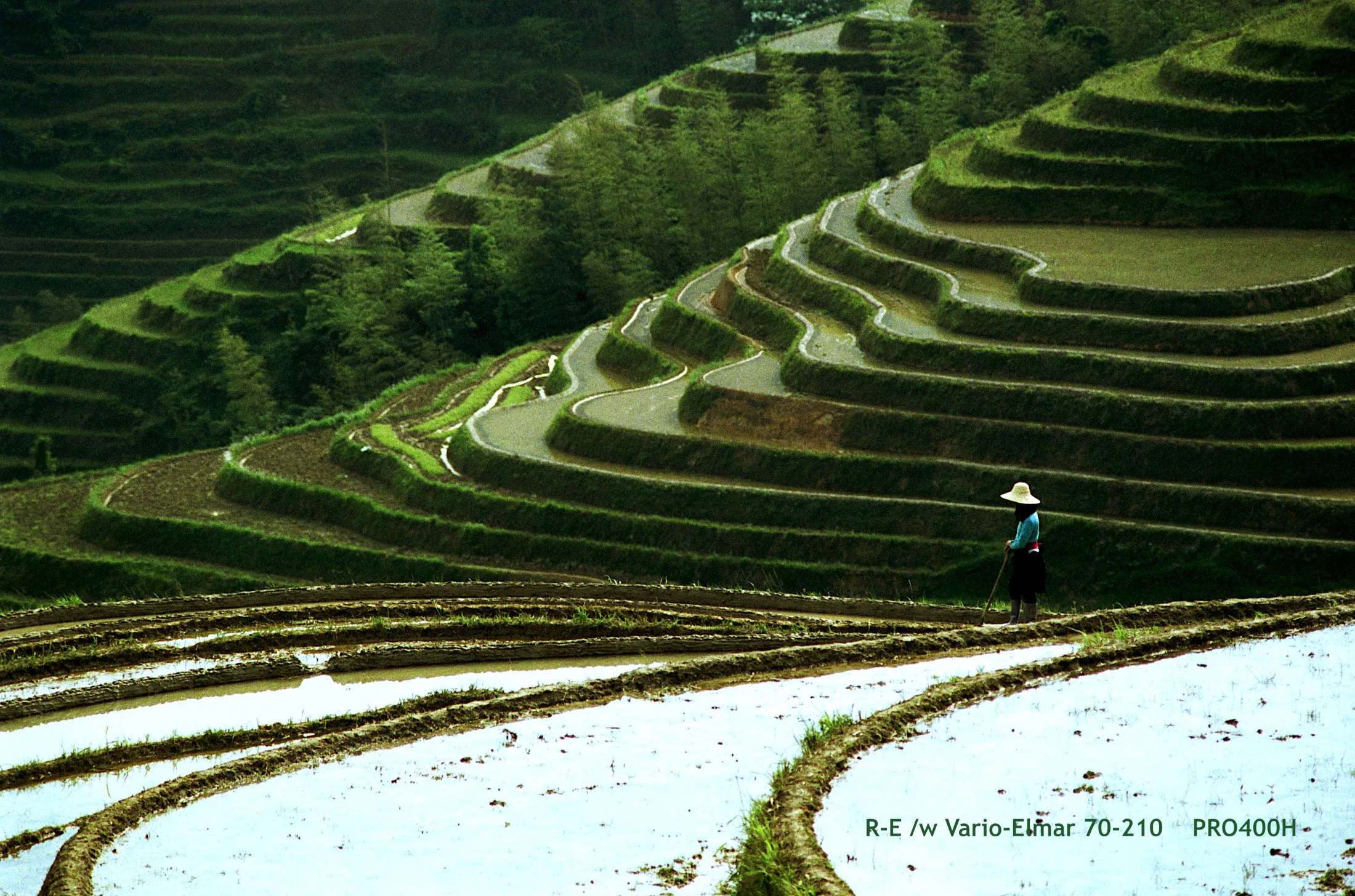 34_LongSheng Fields_terrace.jpg