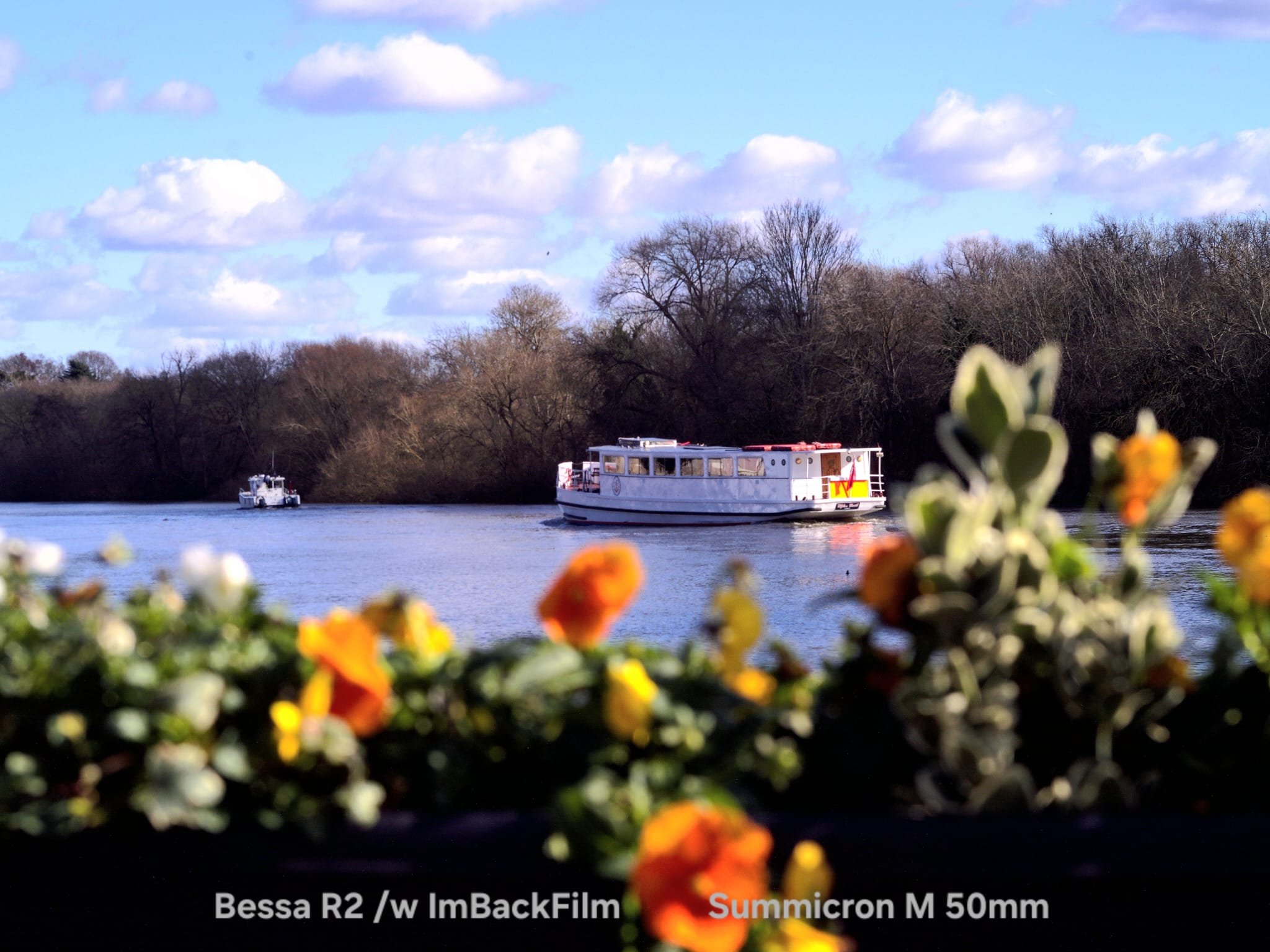 Thames_ImBackFilm_01.jpeg