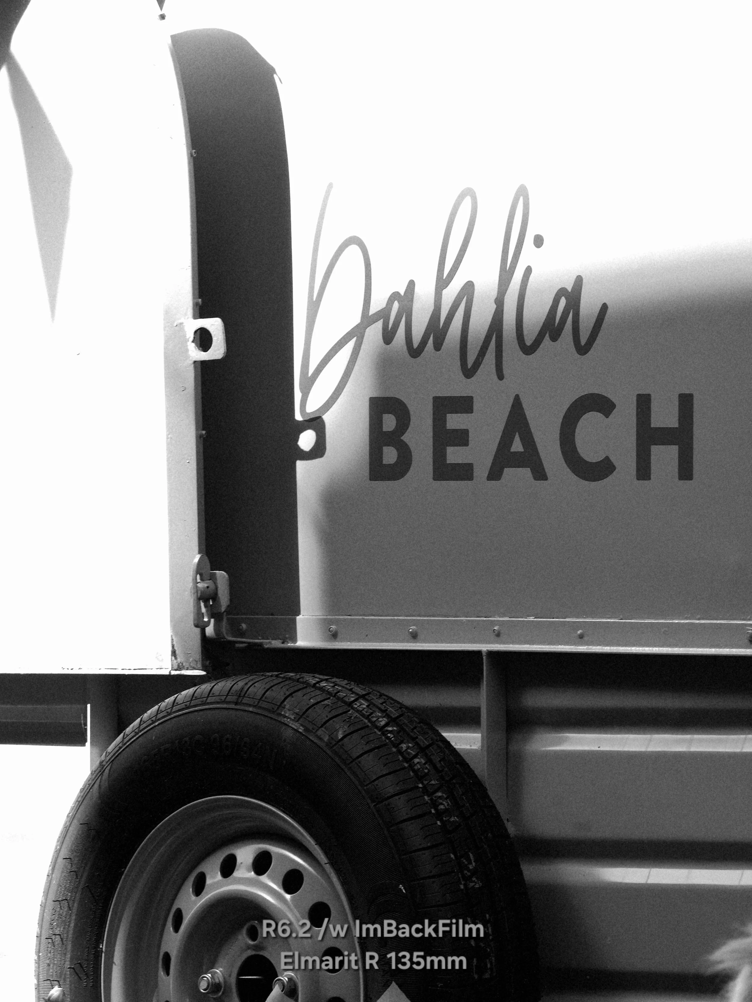 Chiswick_Flower_Market_September_02_BW.jpg