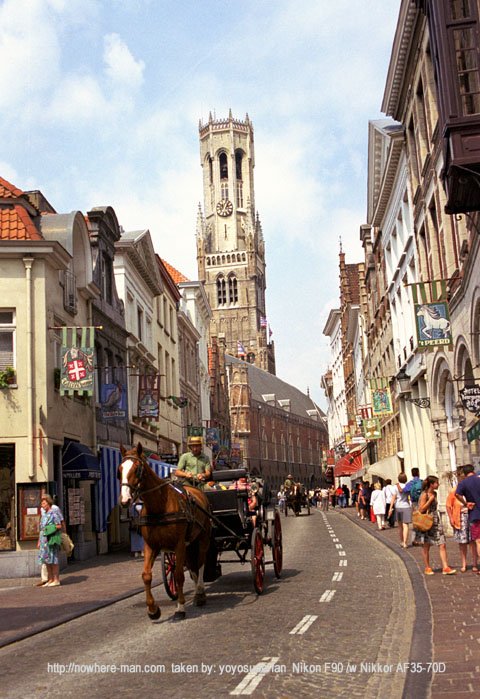 15.jpg