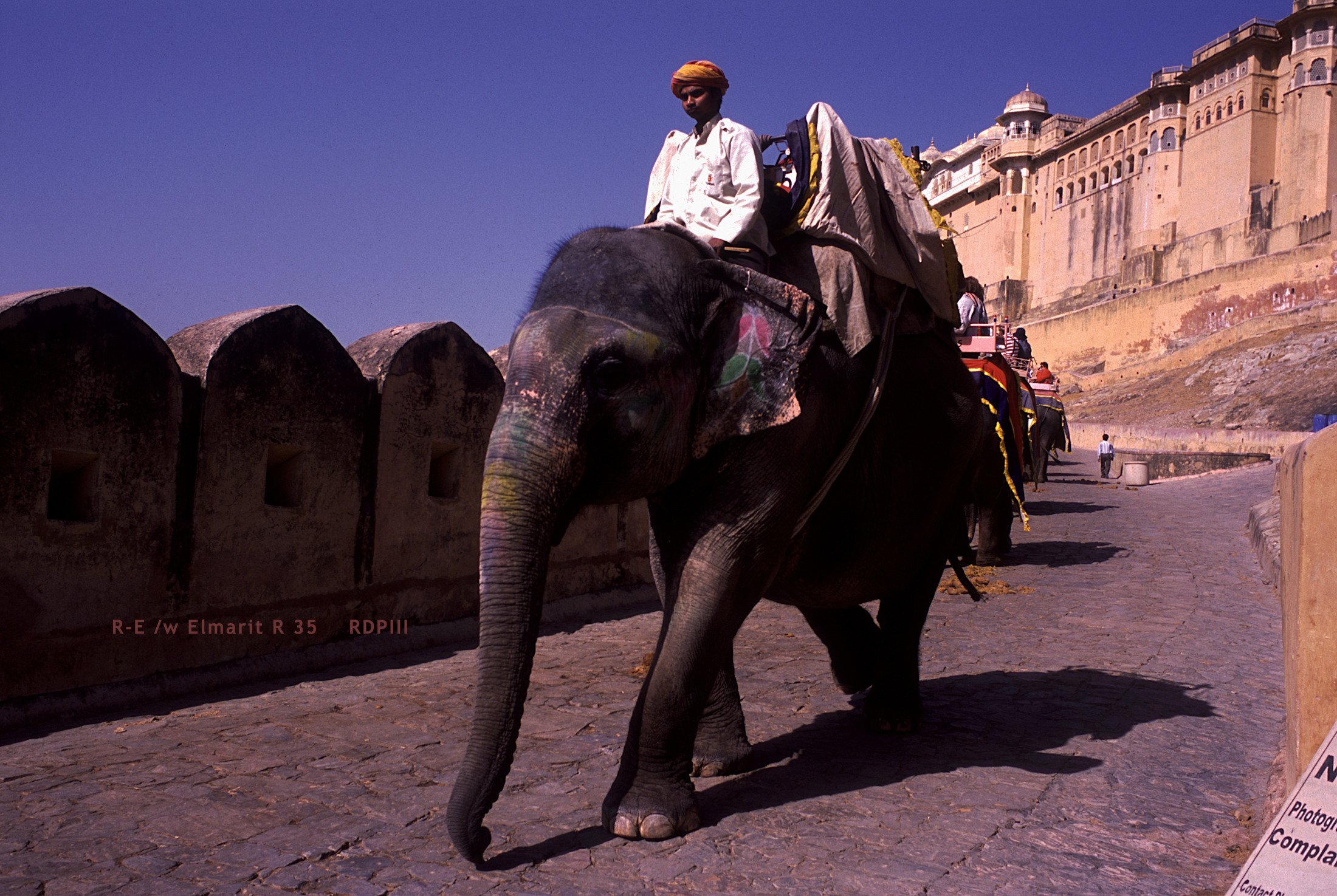 Jaipur_30_AmberPalace.jpg