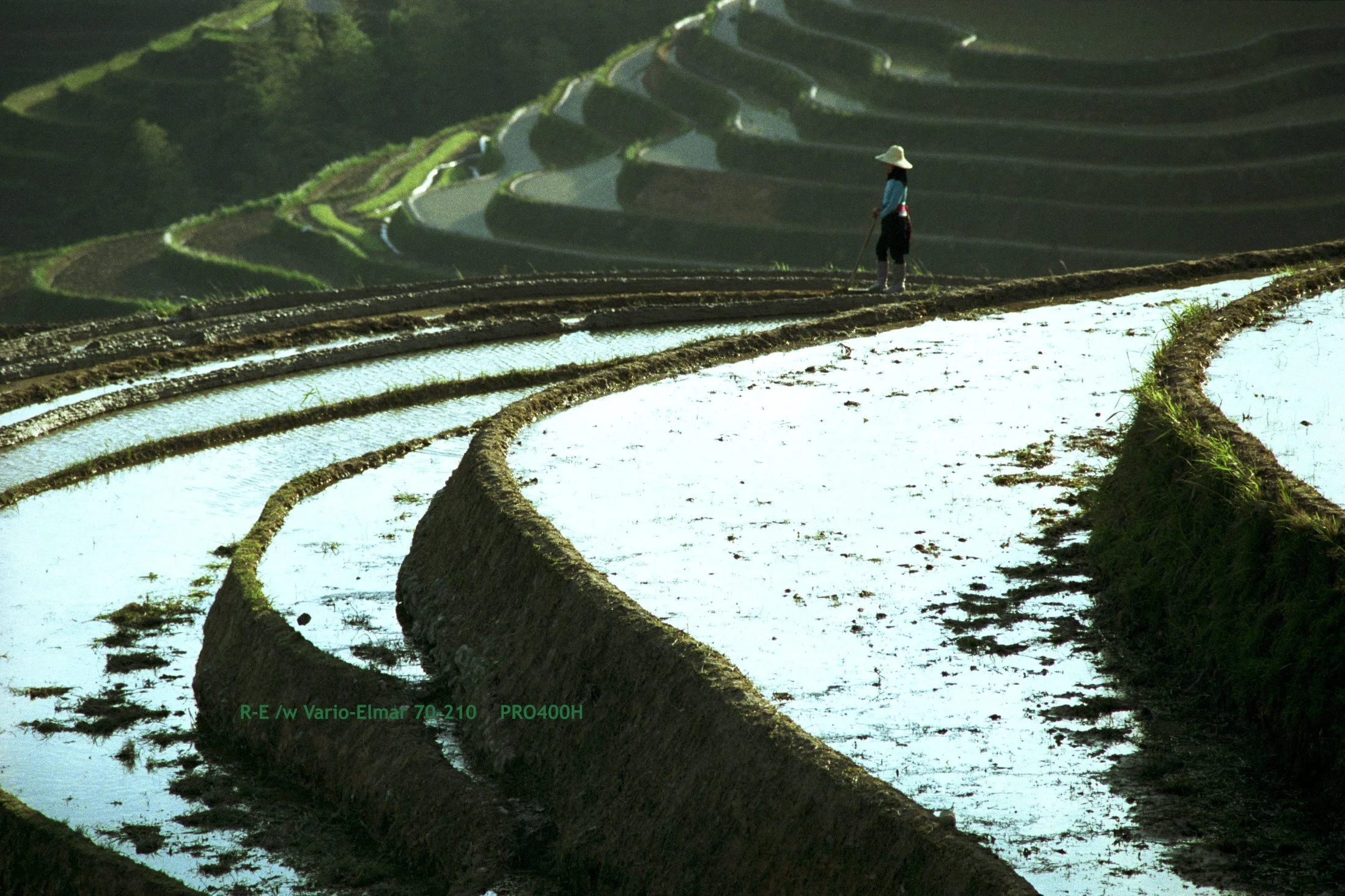 13_LongSheng Fields_terrace.jpg