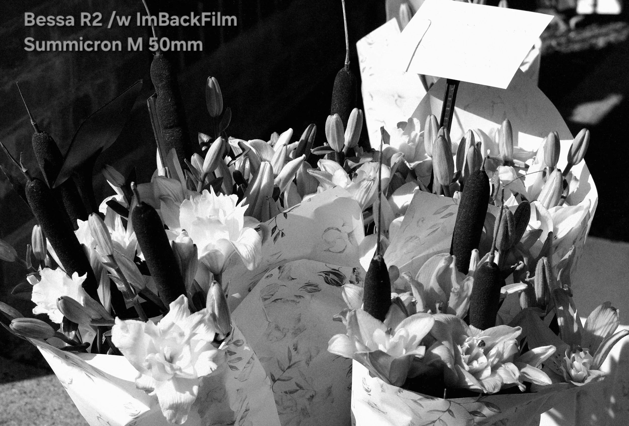 Chiswick_Flower_Market_September_04_BW.jpg