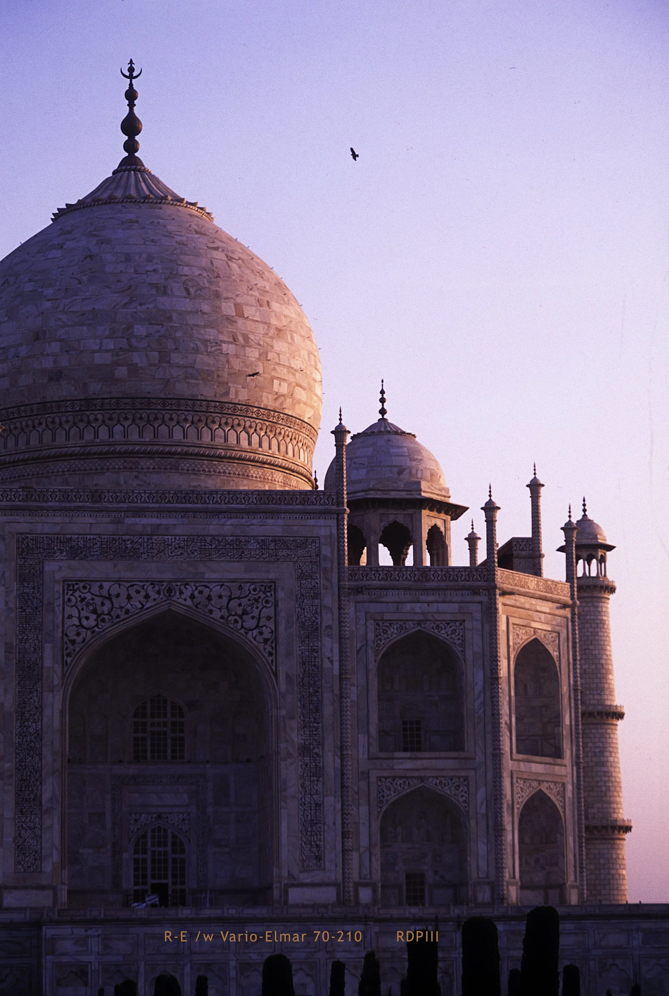 Agra_16_TajMahal.jpg