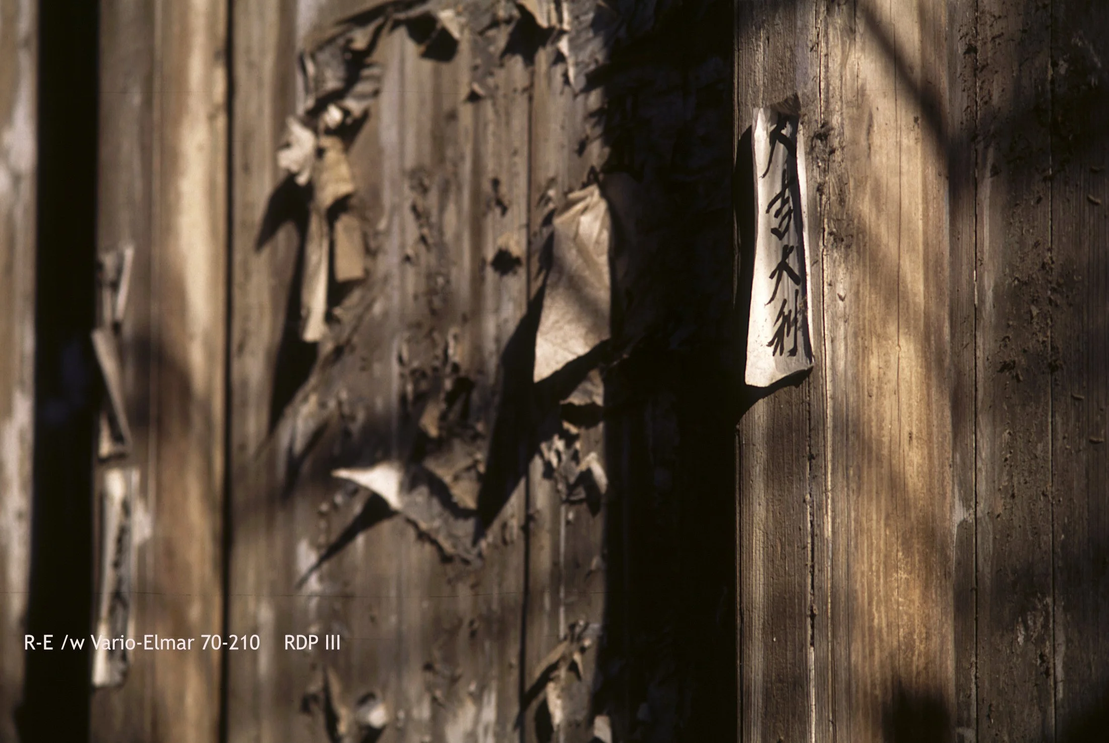 04_GuangXi YangShou_door.jpg