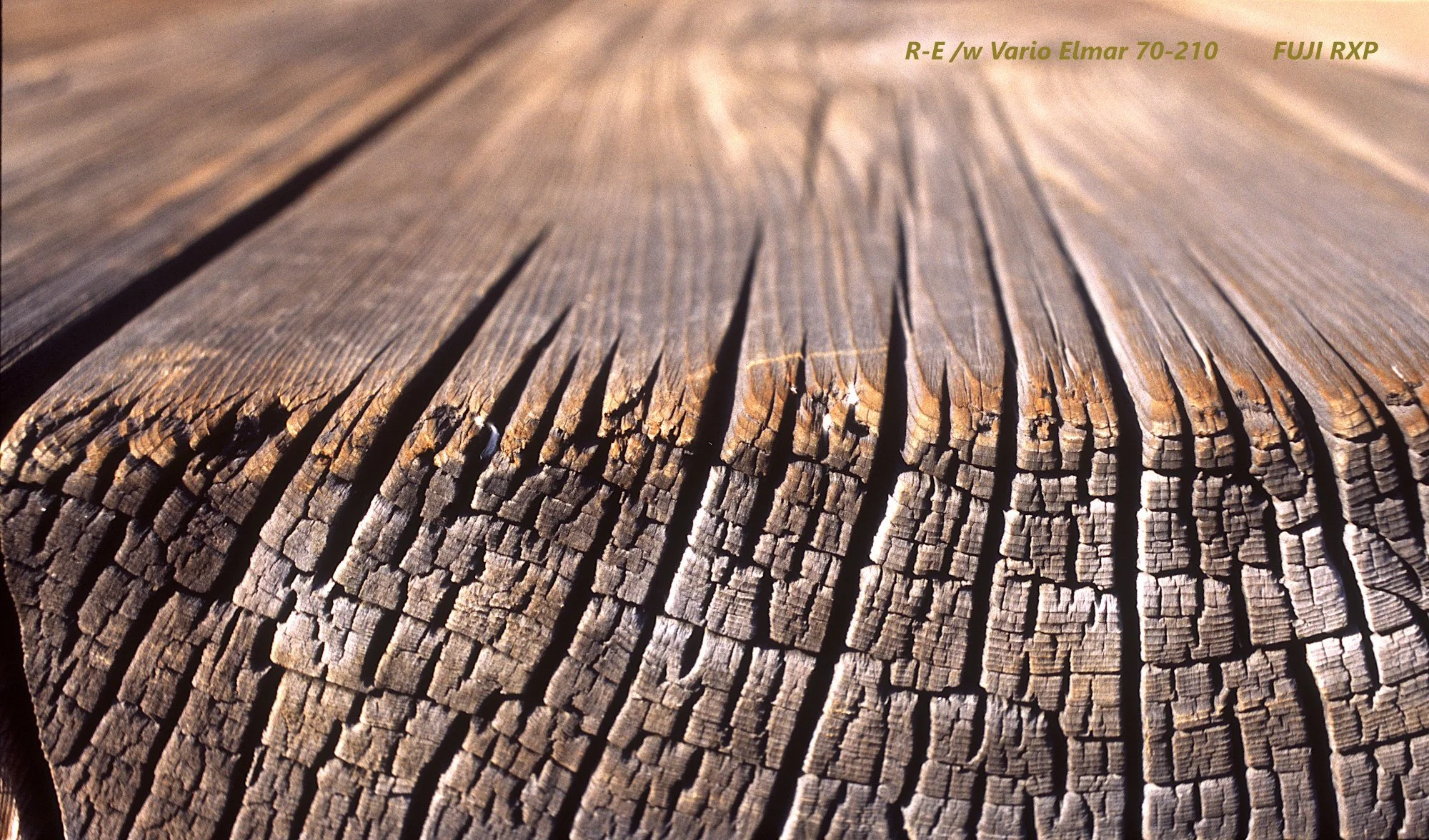 26_Osaka_wood.jpg