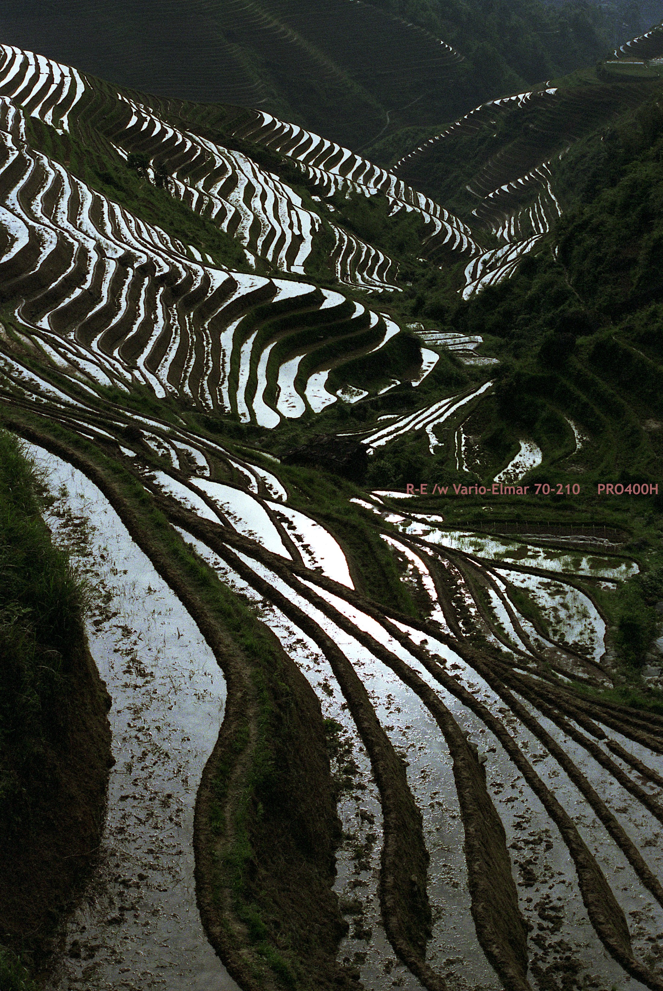03_LongSheng Fields_morning.jpg