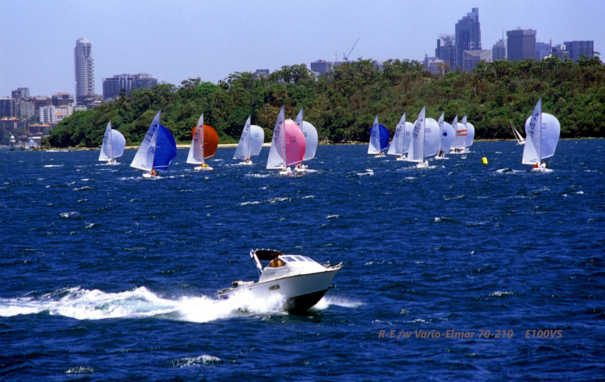 23_Sydney Harbour_yacht.jpg