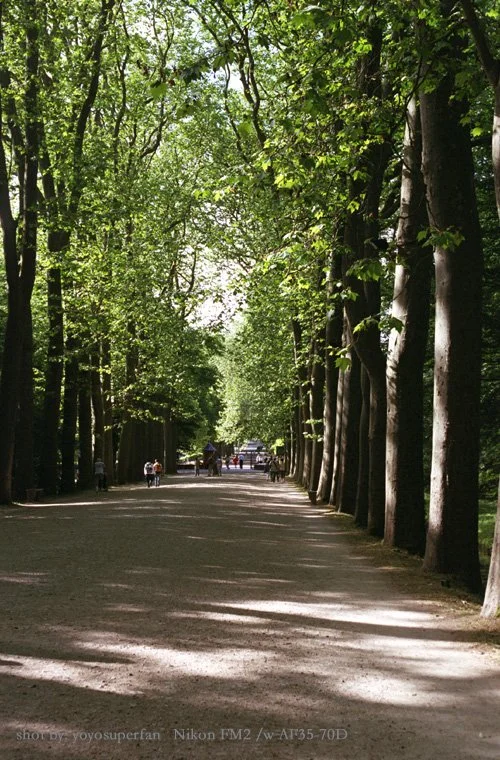 chenonceau05.jpg