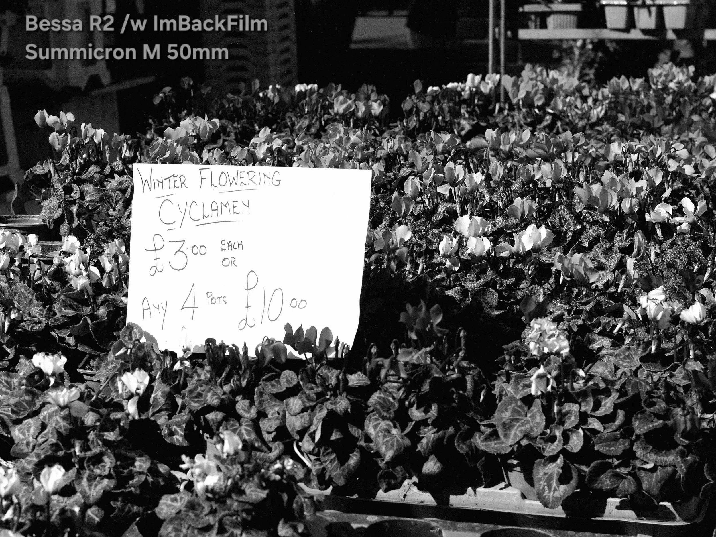 Chiswick_Flower_Market_September_03_BW.jpg