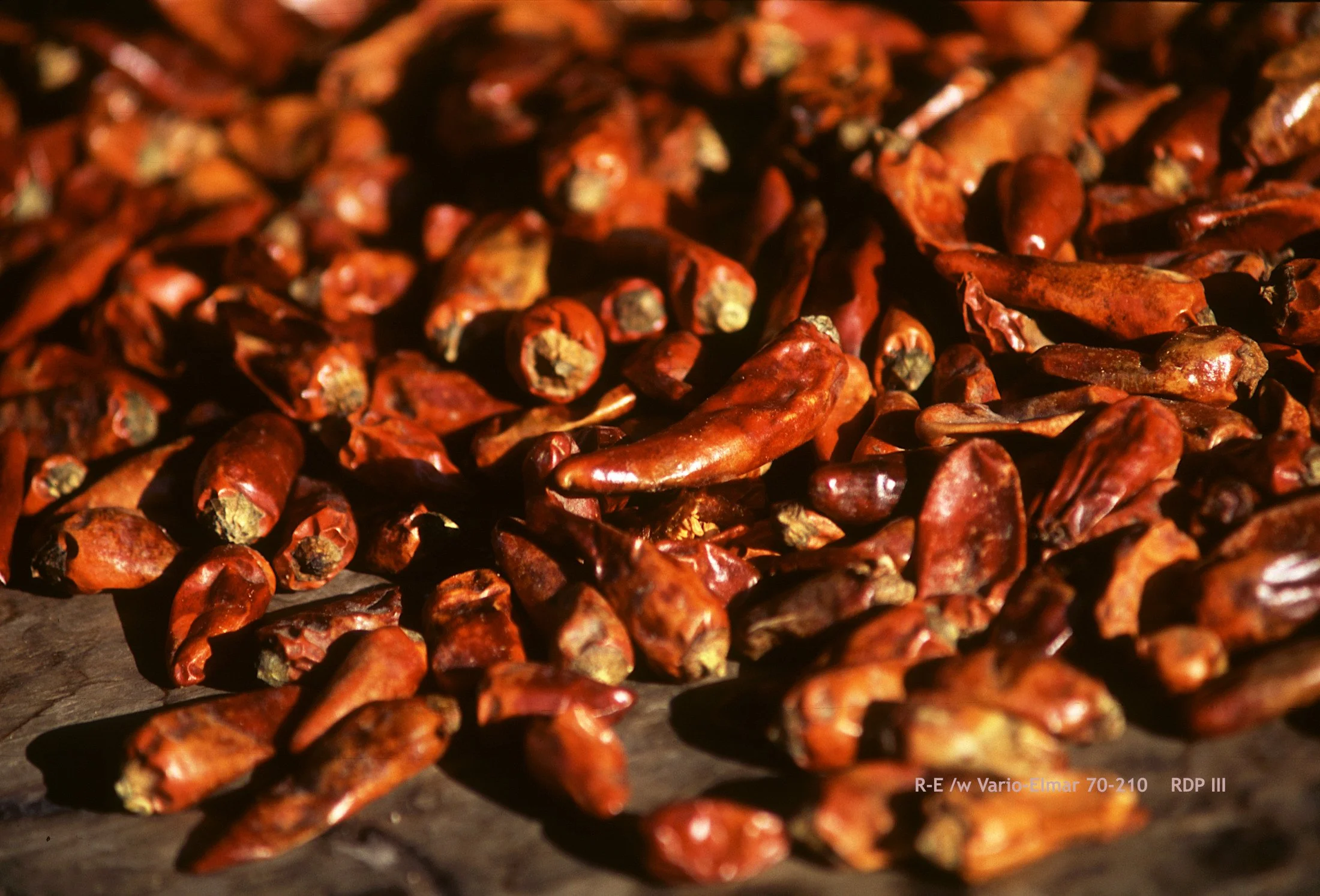 01_GuangXi YangShou_chilli.jpg