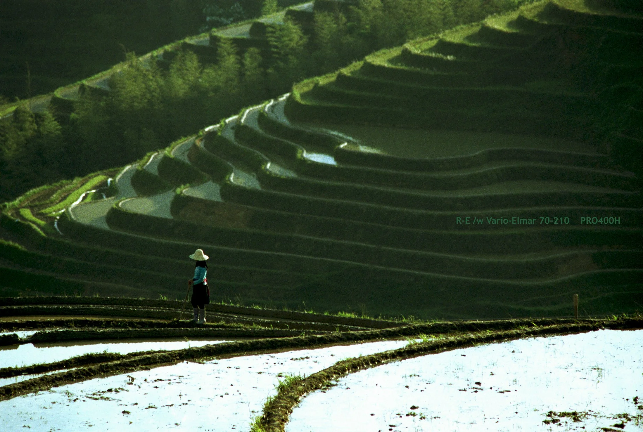 10_LongSheng Fields_terrace.jpg