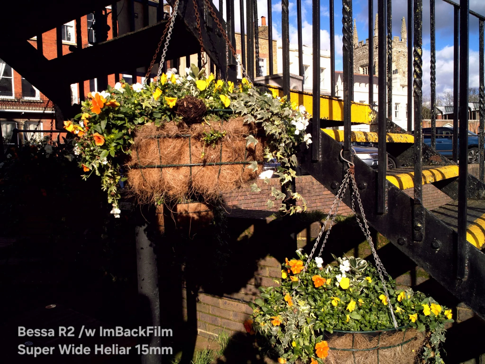Gardening_ImBackFilm_35.jpeg
