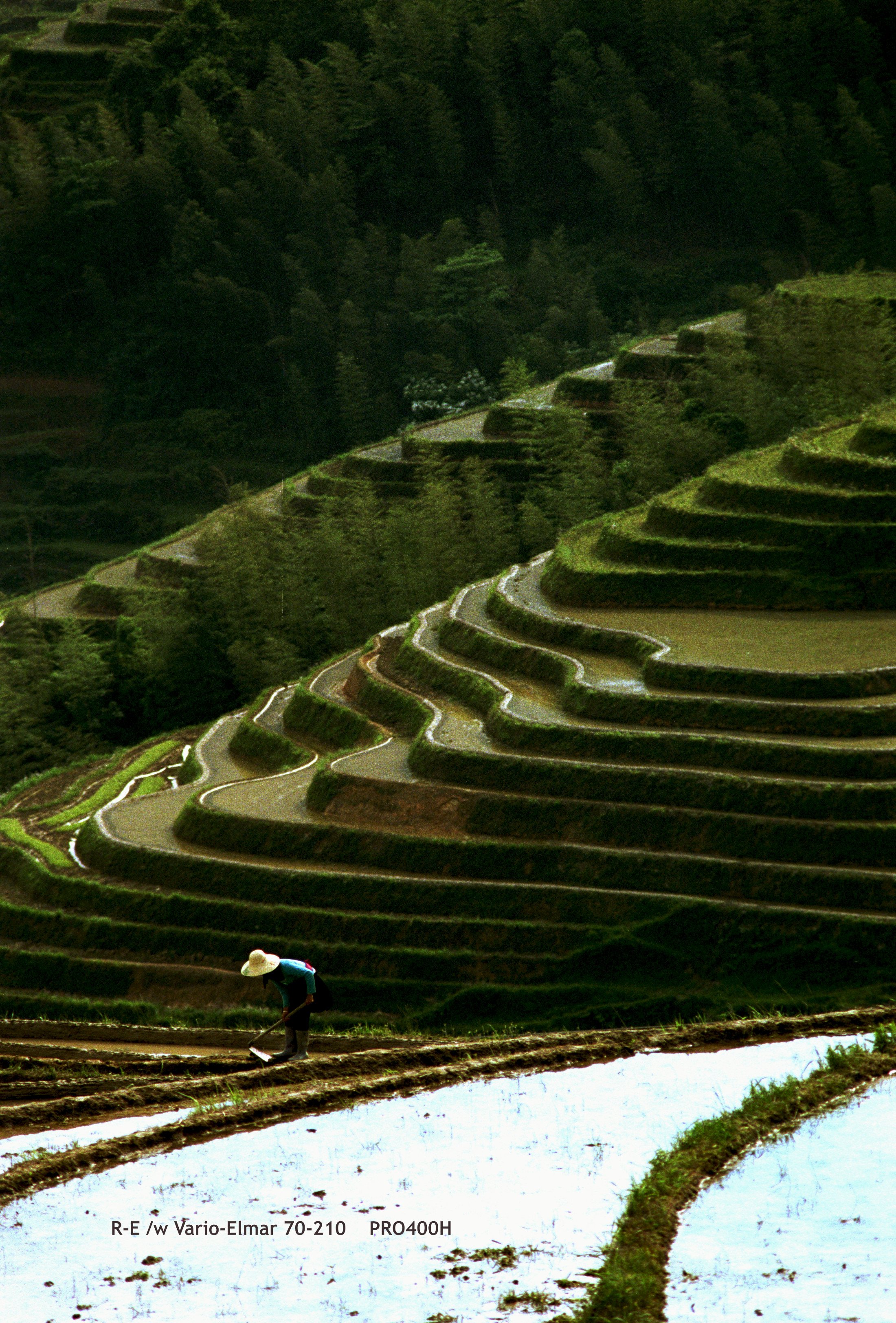 32_LongSheng Fields_terrace.jpg