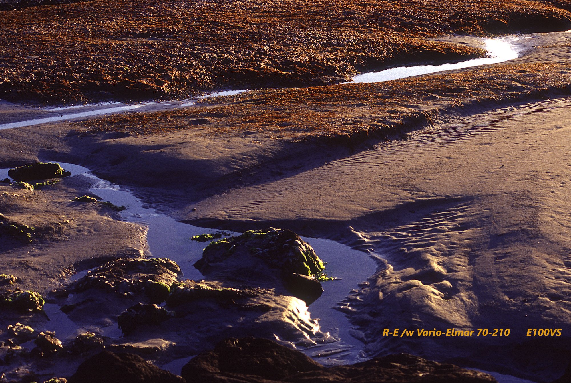 21_Port Fairy_shore.jpg