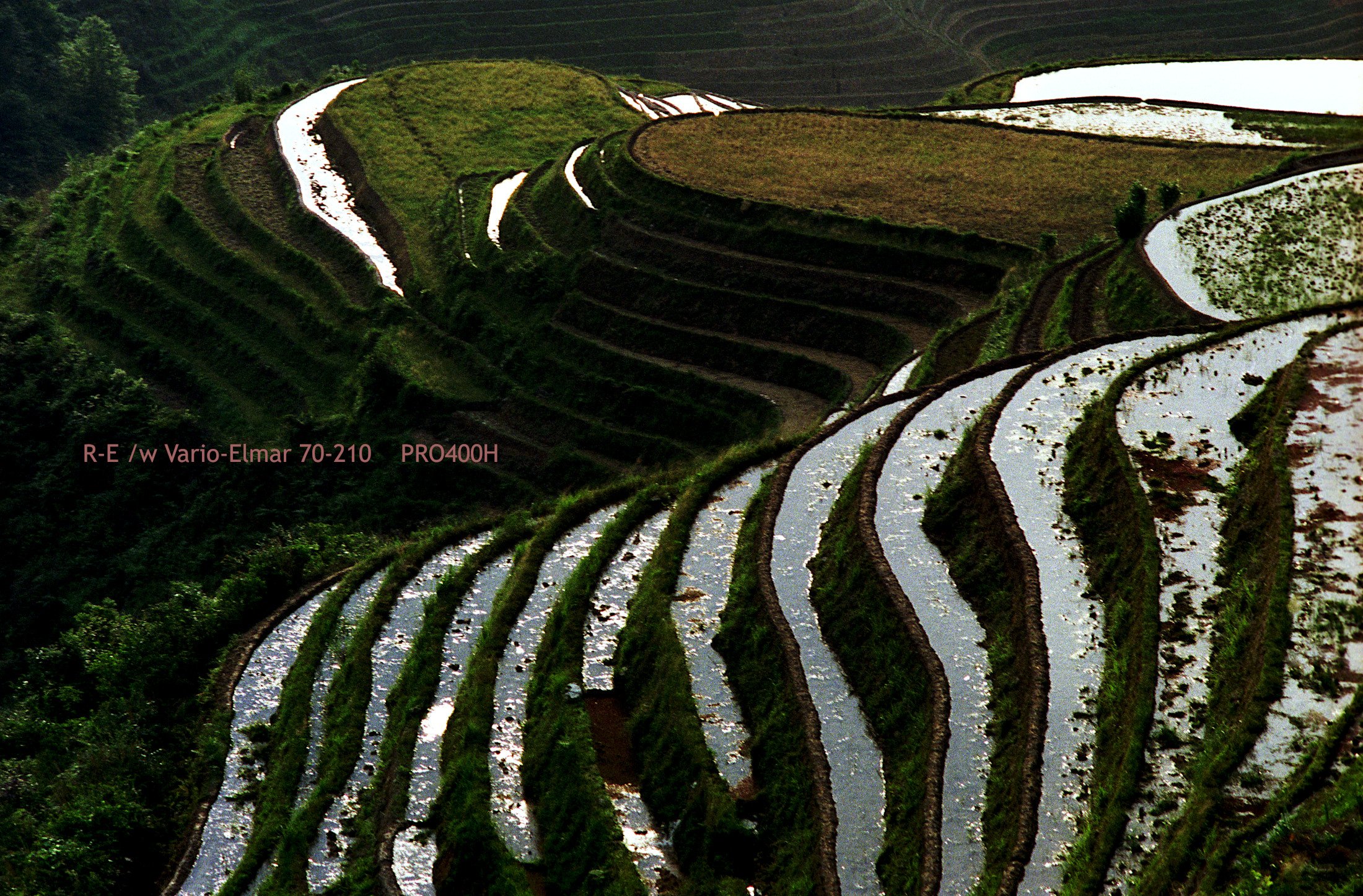 17_LongSheng Fields_morning.jpg