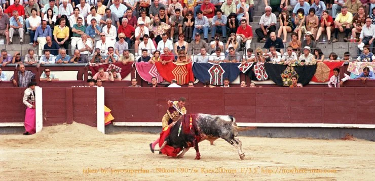 madrid13.jpg