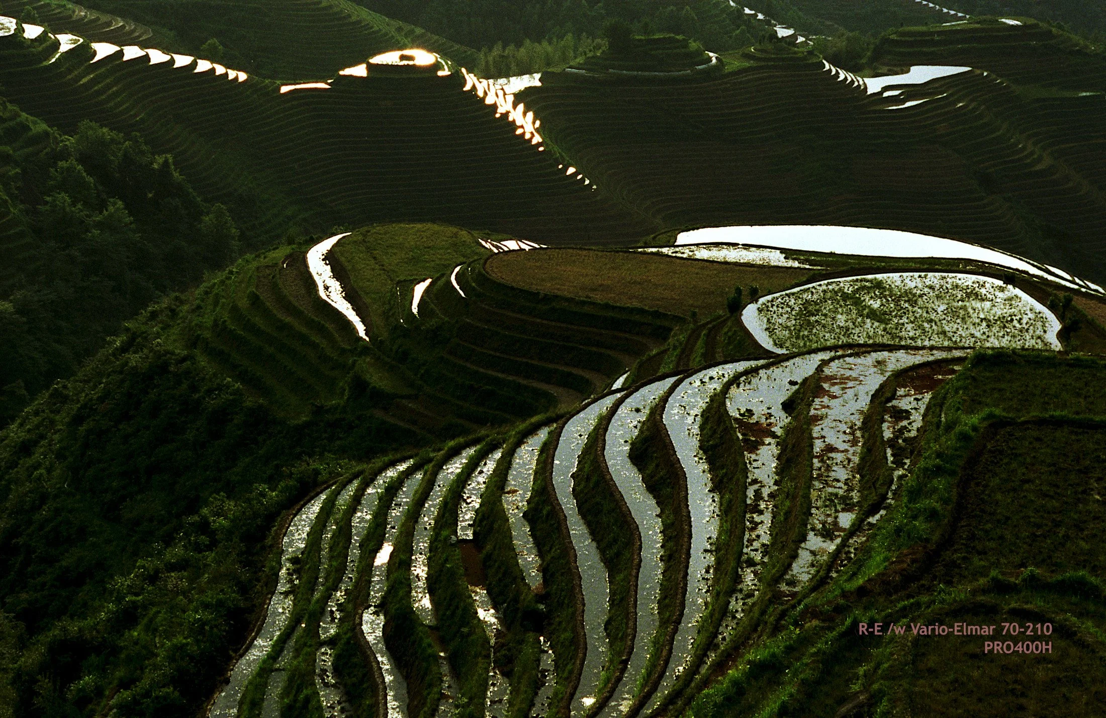 15_LongSheng Fields_morning.jpg