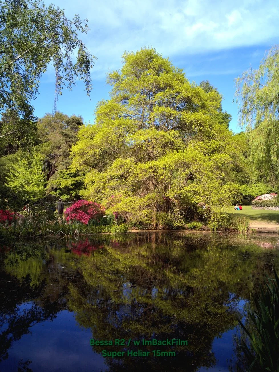 Isabella_Plantation_ImBackFilm_15.jpeg