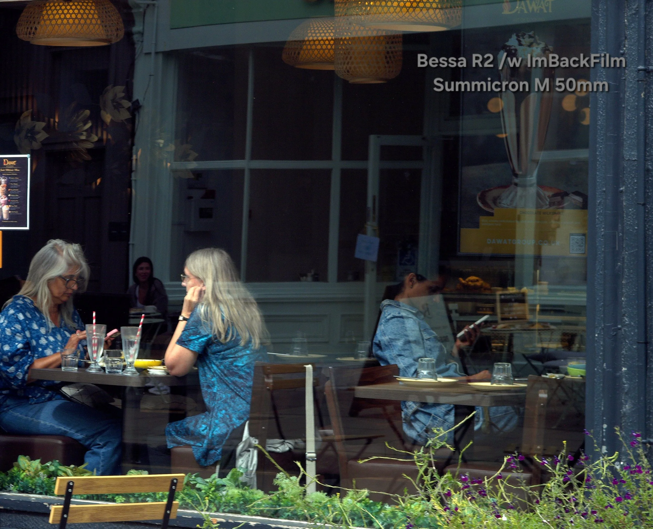 Chiswick_FlowerMarket_ImBackFilm_Windows_11.jpg