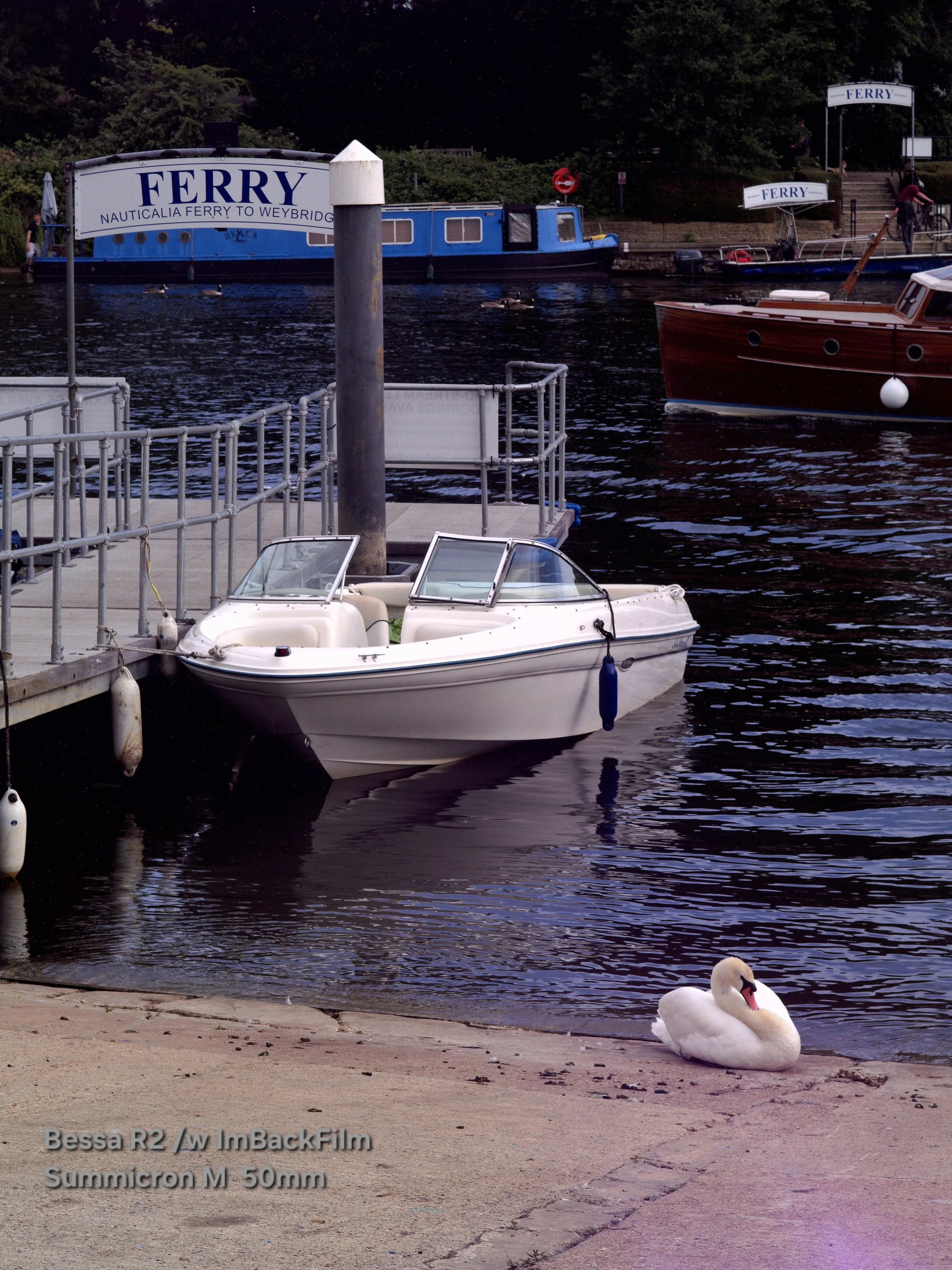Shepperton_Lock_2026_1864.jpg