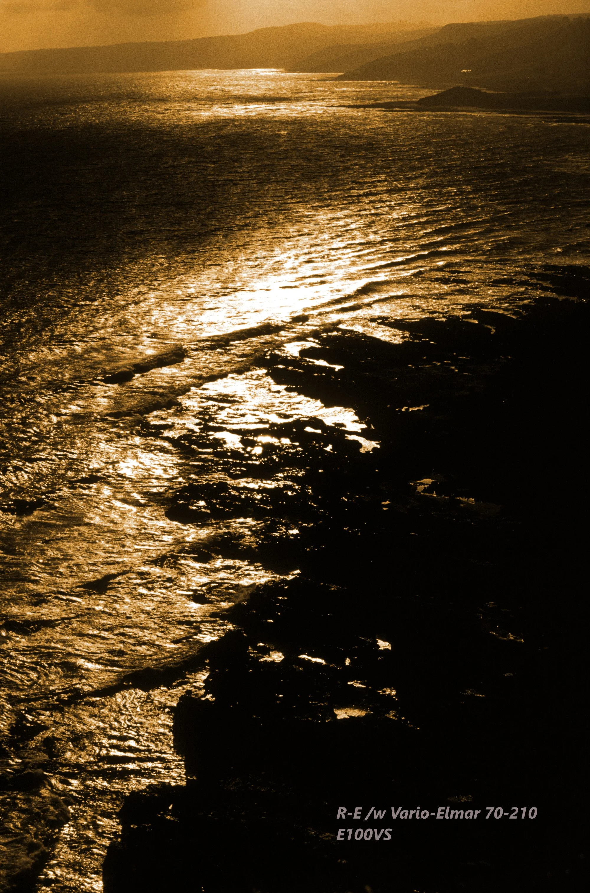 06_wild dog cove_seashore.jpg