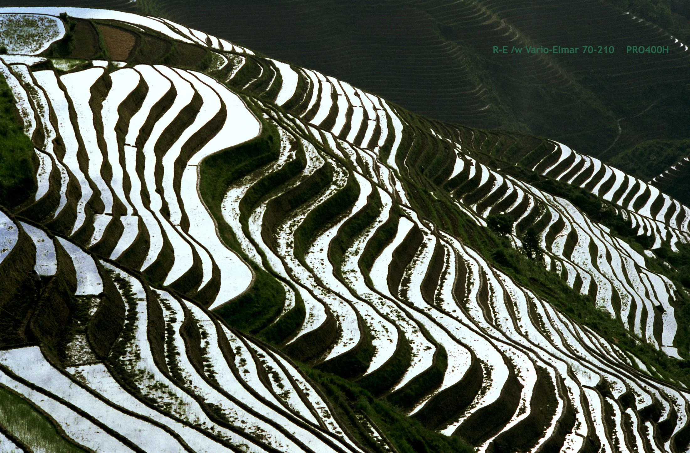 02_LongSheng Fields_morning.jpg
