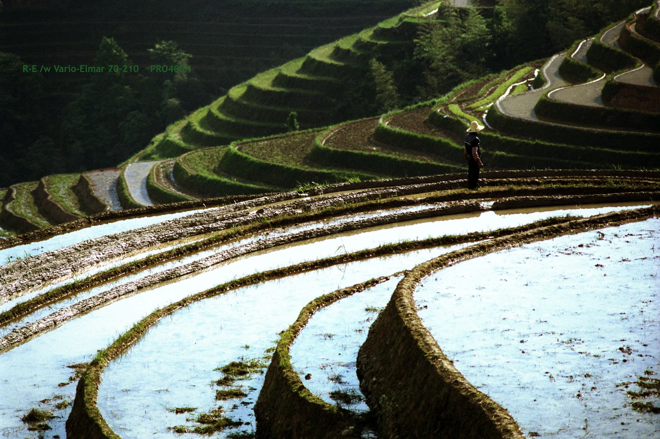 05_LongSheng Fields_terrace.jpg