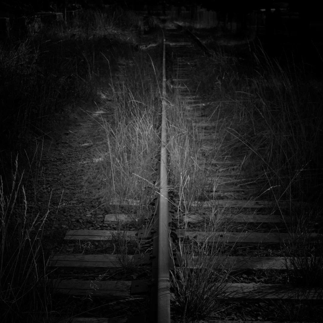 DSC01593.JPEG