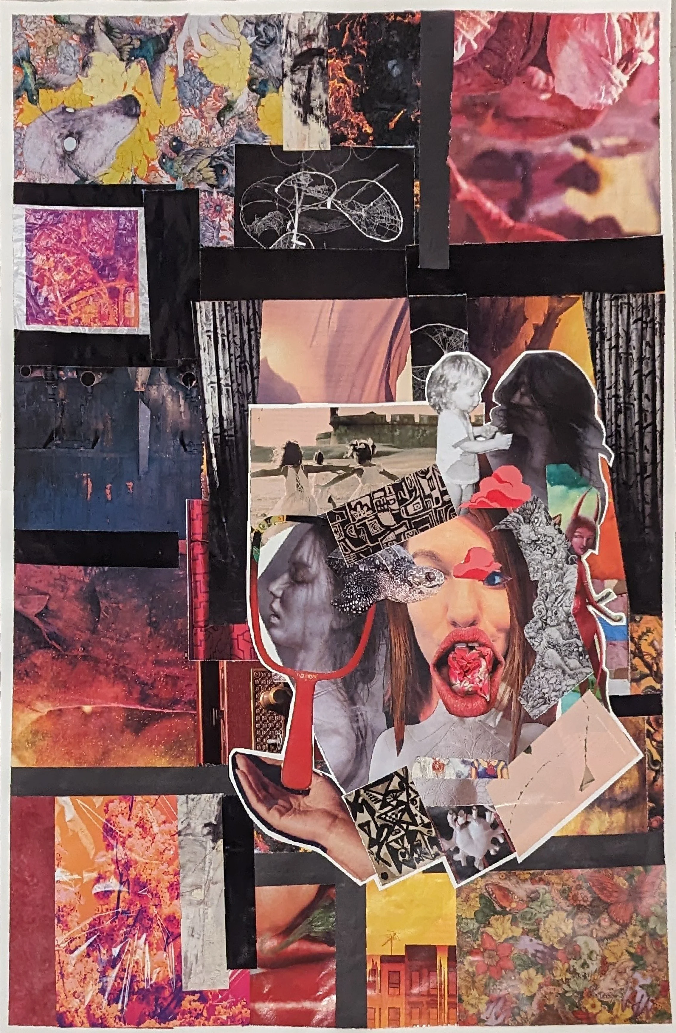 Collage. Insides outside. Mixed Media..jpg