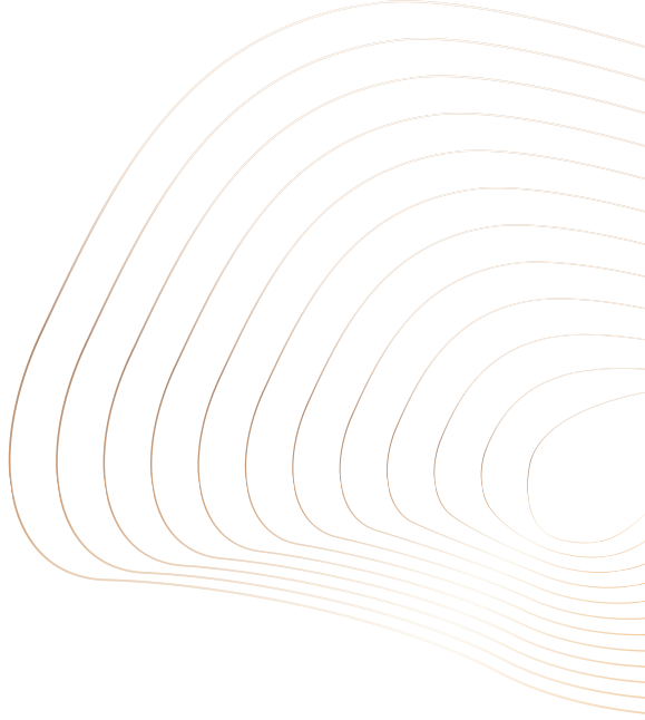 A black background with beige contour lines forming abstract, rounded shapes.