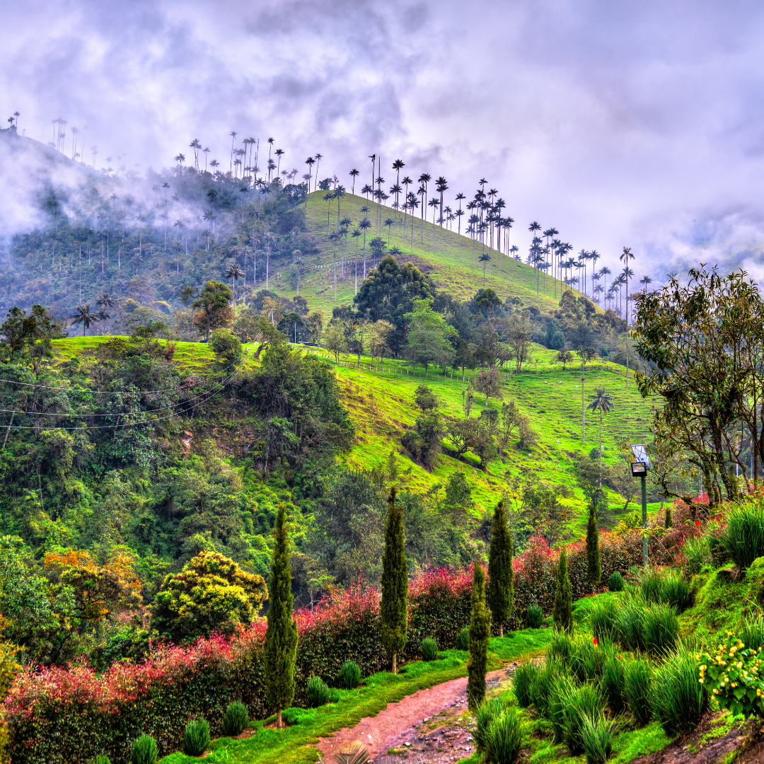 Colombia